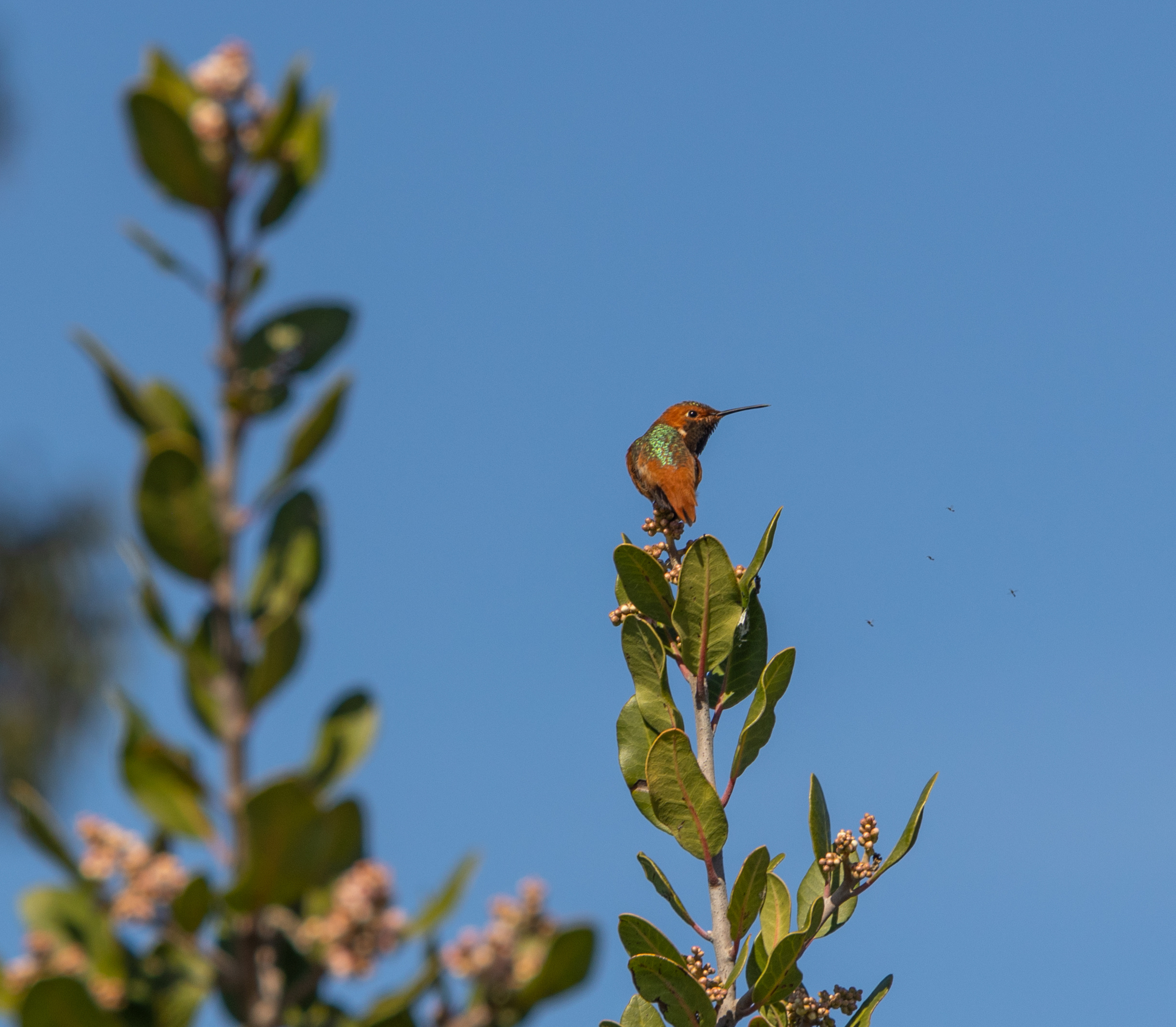 Olga Serebryannaya Travel Photography