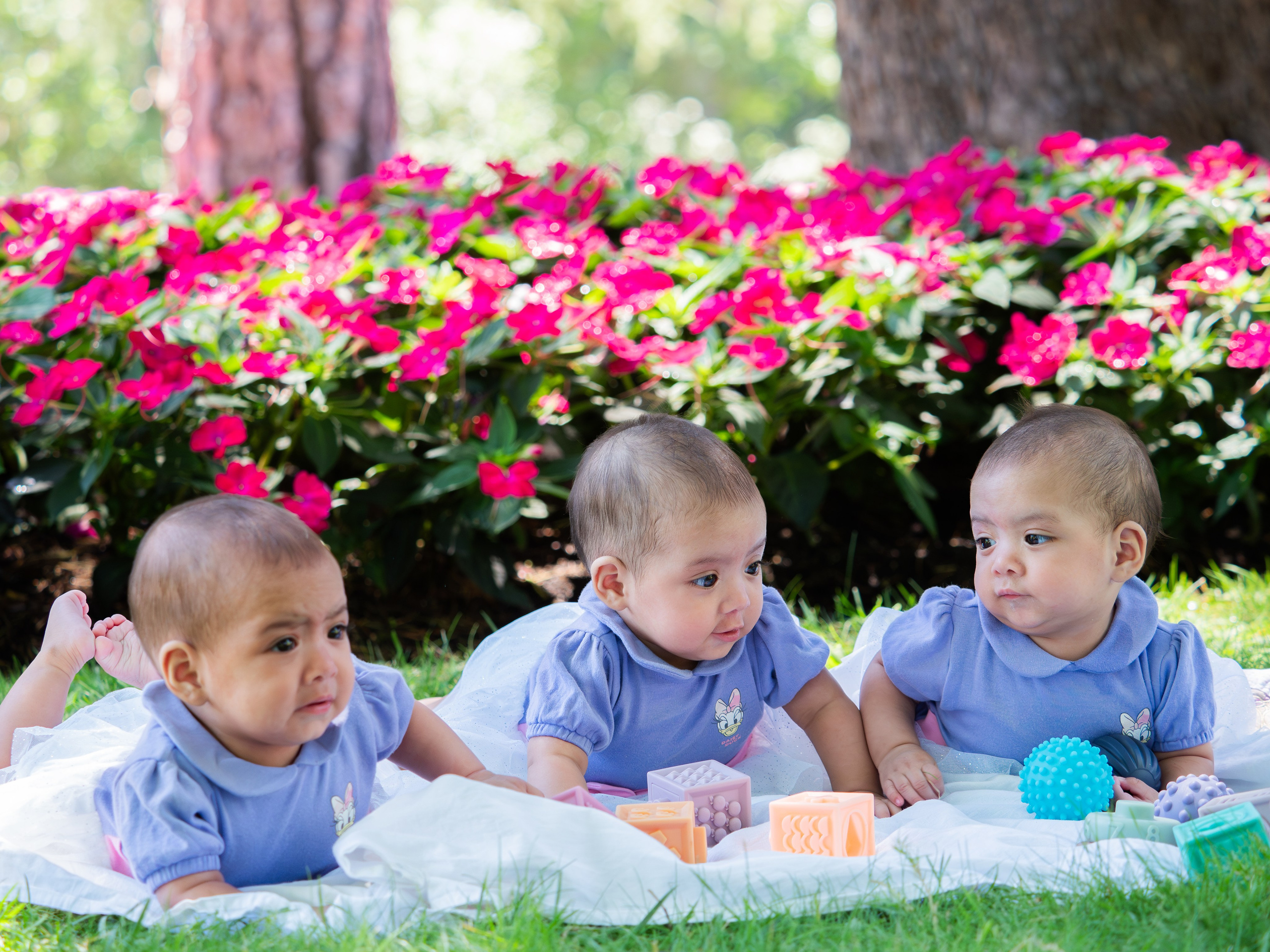 Estos son los servicios que ofrezco como fotógrafa. Distintos paquetes de horas y precios. Fotógrafa de Periodismo y Documentación, Teatro, Cine, Shooting para Modelos, Bodas, Bautizos, Comuniones, Familia y Eventos