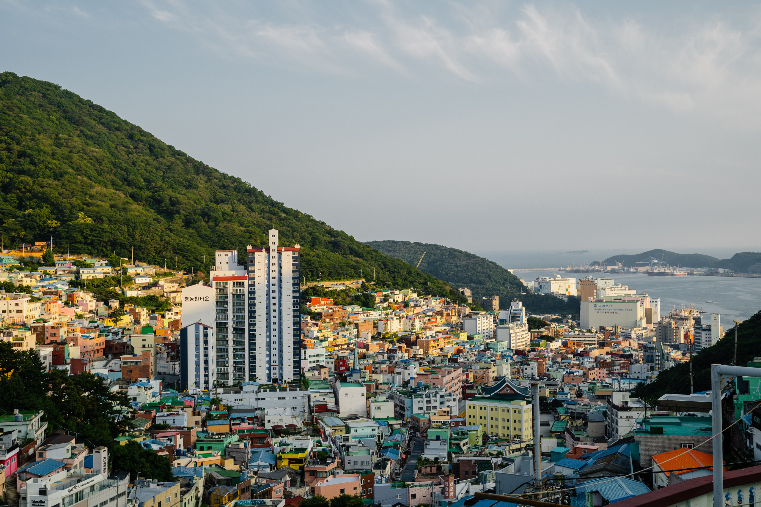🇰🇷 Южная Корея. Фотограф и travel-блоггер Александра Гриценко
