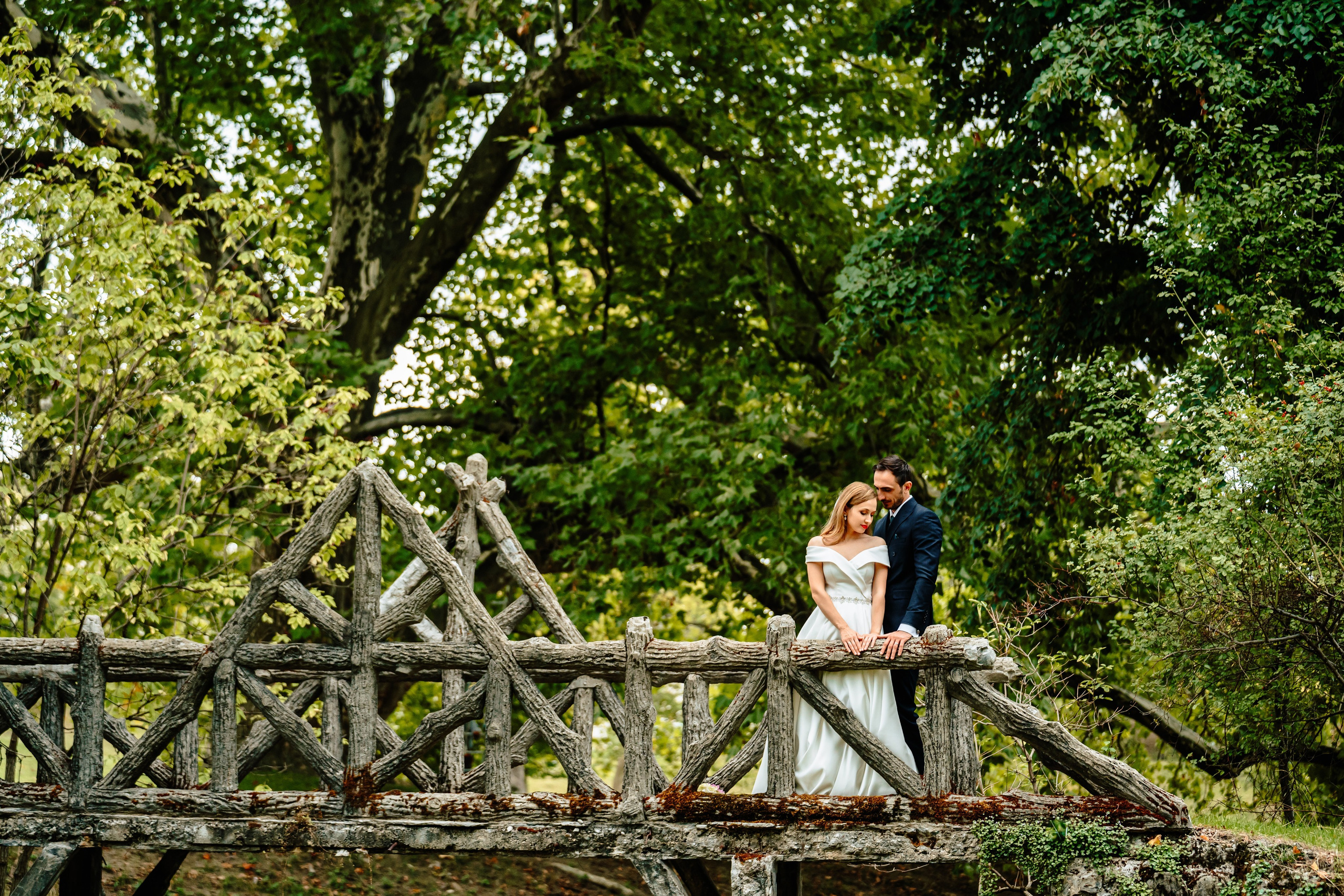 Pachet PREMIUM. Amy Foto