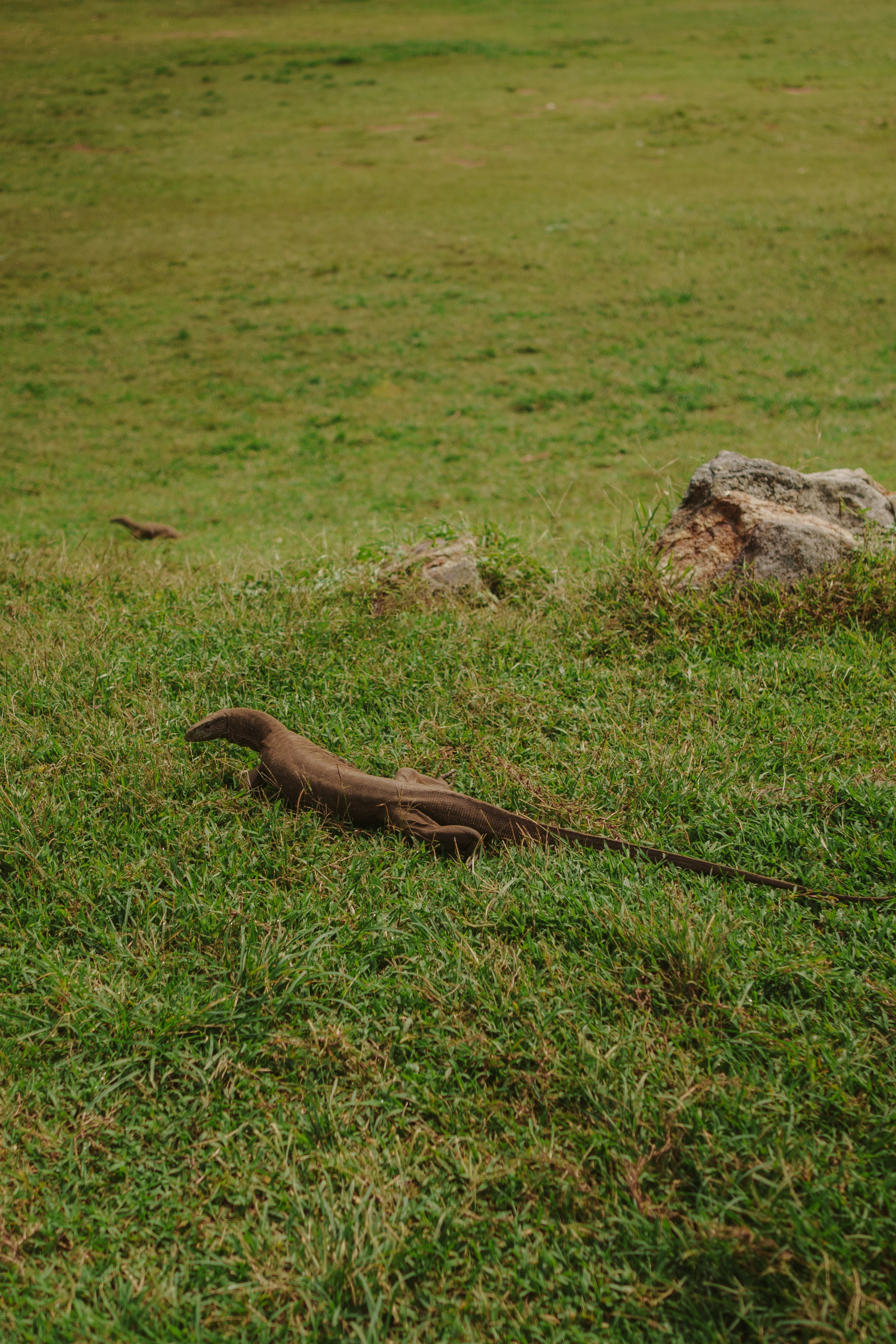 Серф-тур на Шри-Ланку: 12 дней у океана (16-27 Марта)