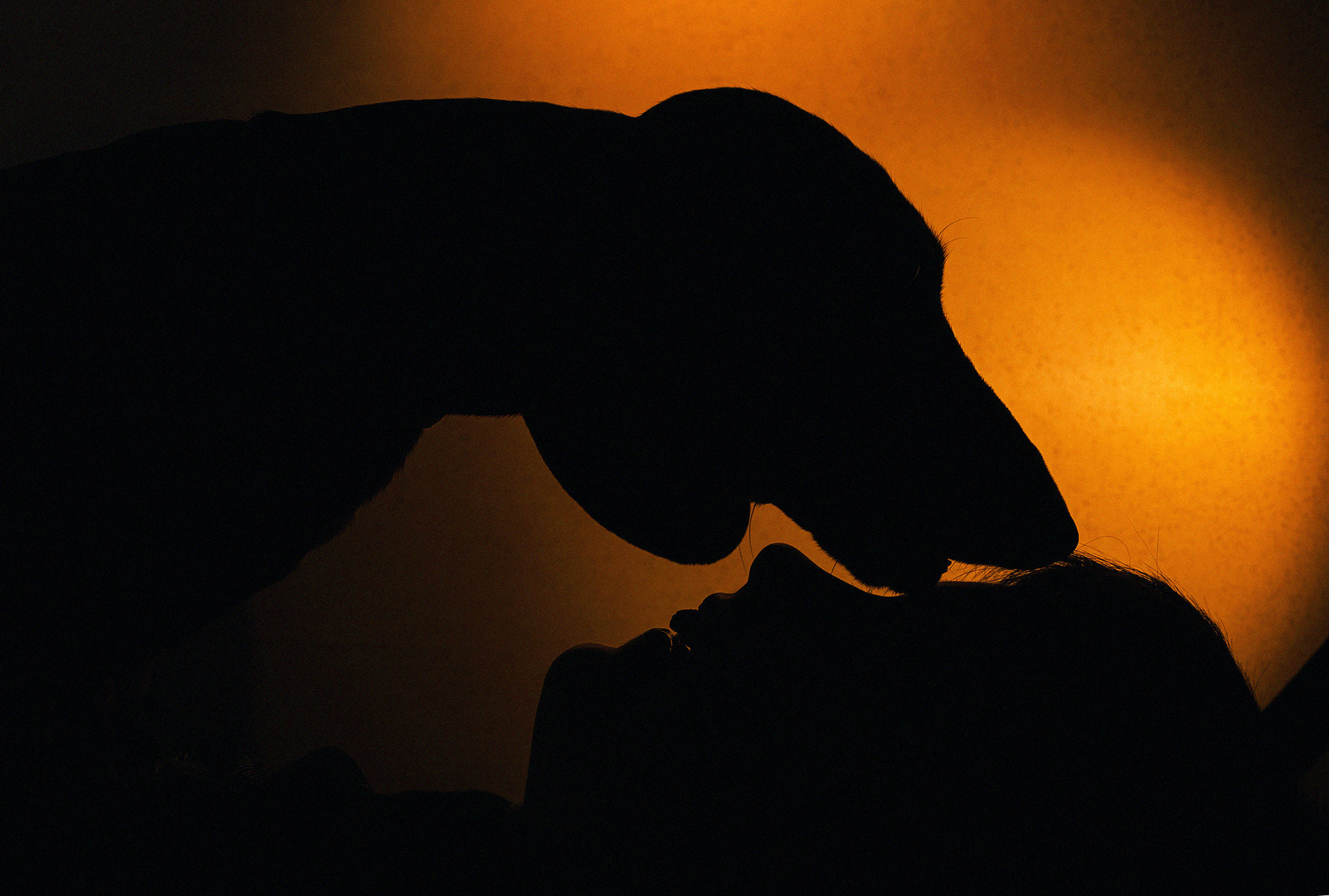 Фотограф в Праге. Фотограф в Чехии