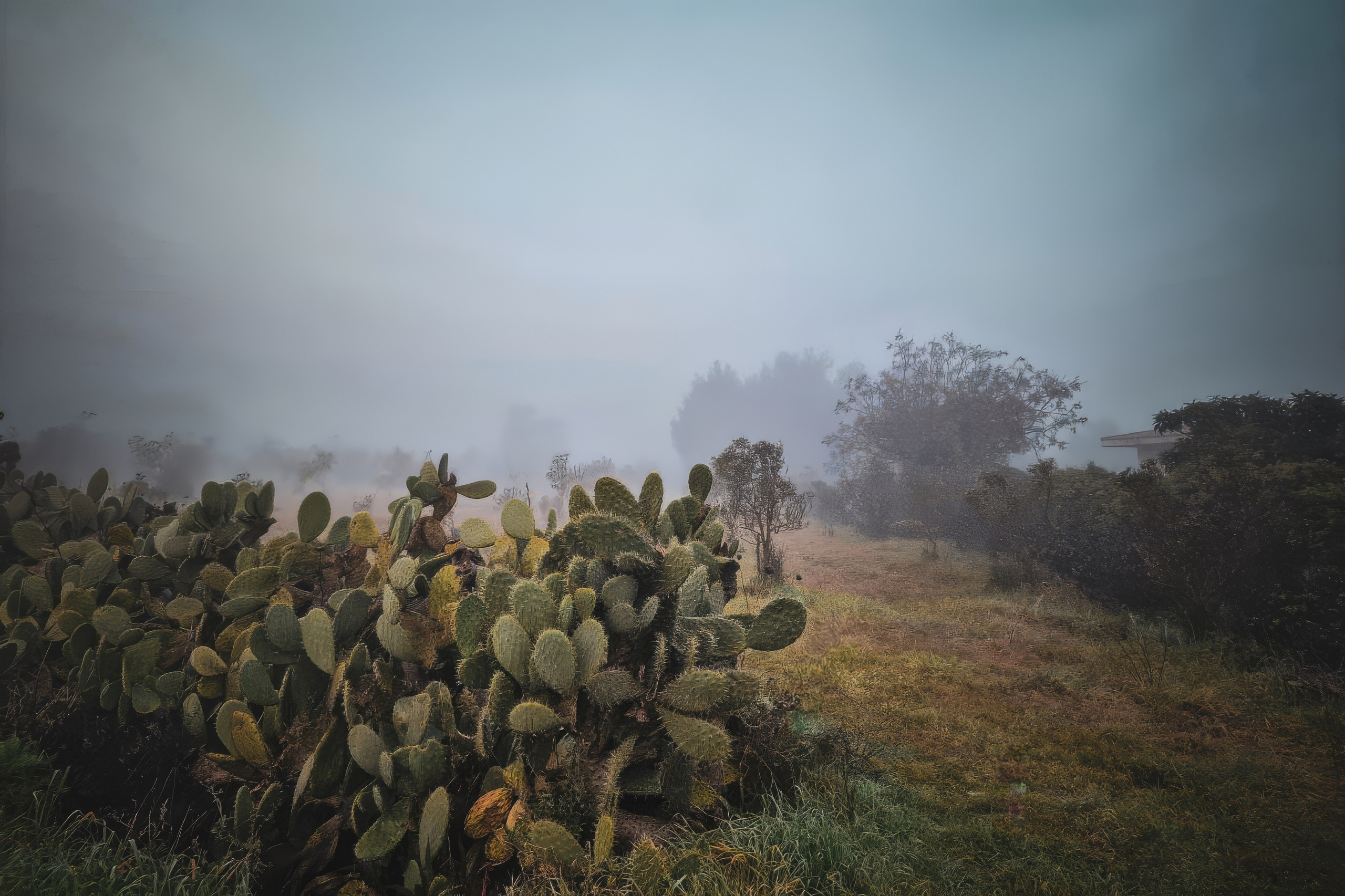 Paesaggi. Olga Manukhina fotografo in Sardegna