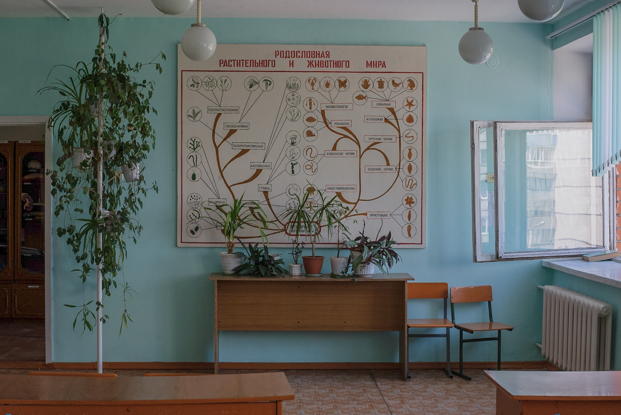 Bashkir gymnasium. Документальный и репортажный фотограф Айгуль Михайлова