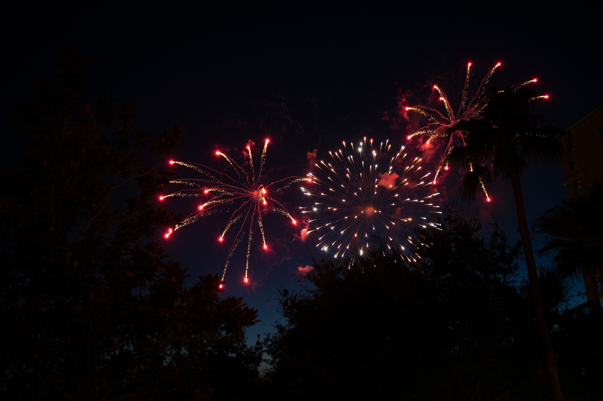 a fireworks is lit up the night sky