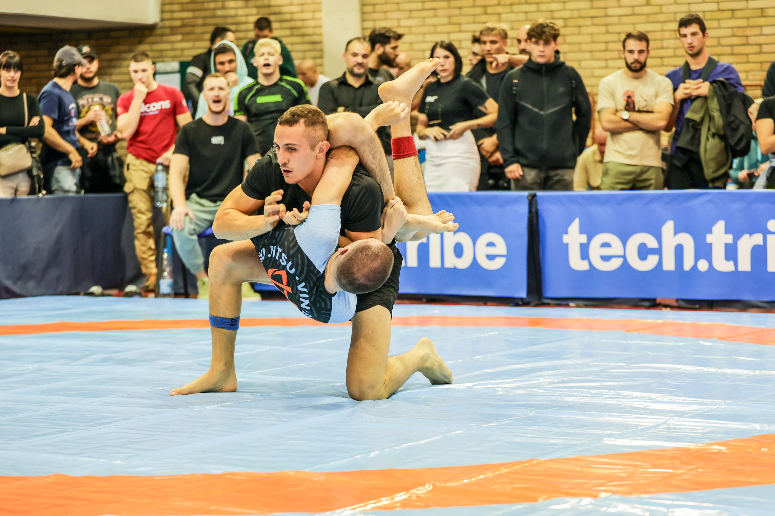 NO GI Challenge Novi Sad