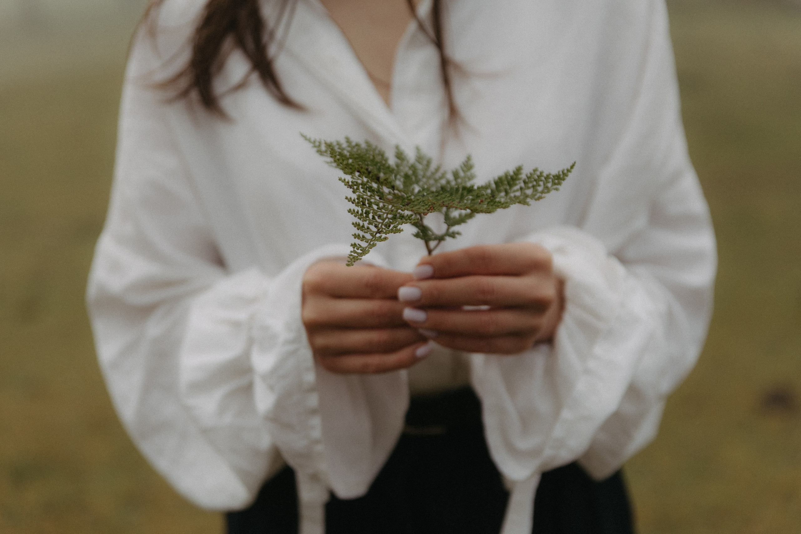 Magic of Fanal Forest. Wedding photographer and videographer based in Timisoara, Romania