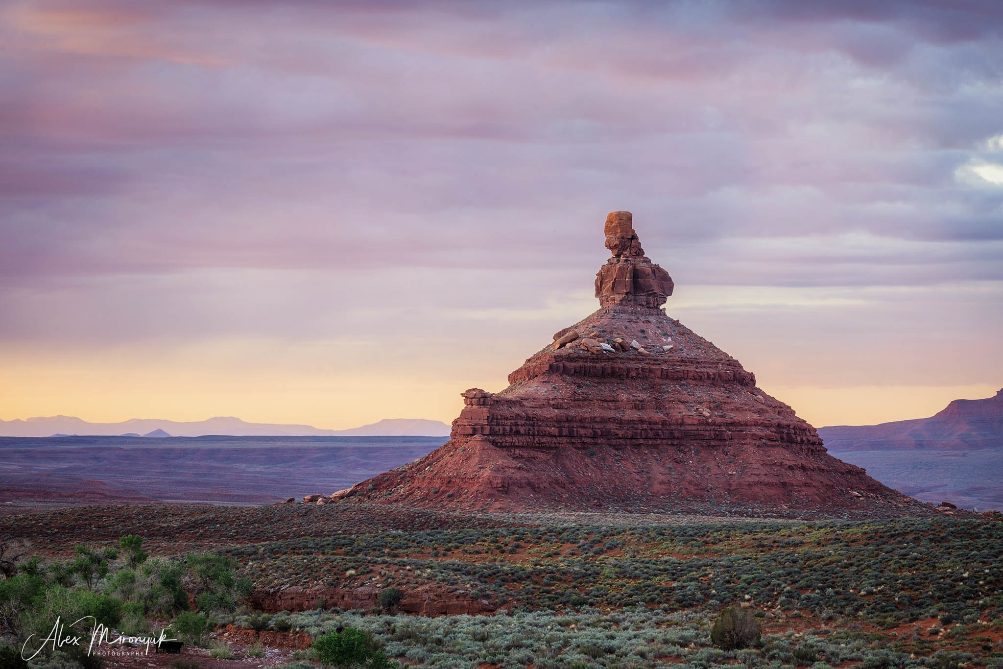 Eagle’s View American Southwest. Pet, Senior, Landscape, portrait studio, photographer in Miami and Sou