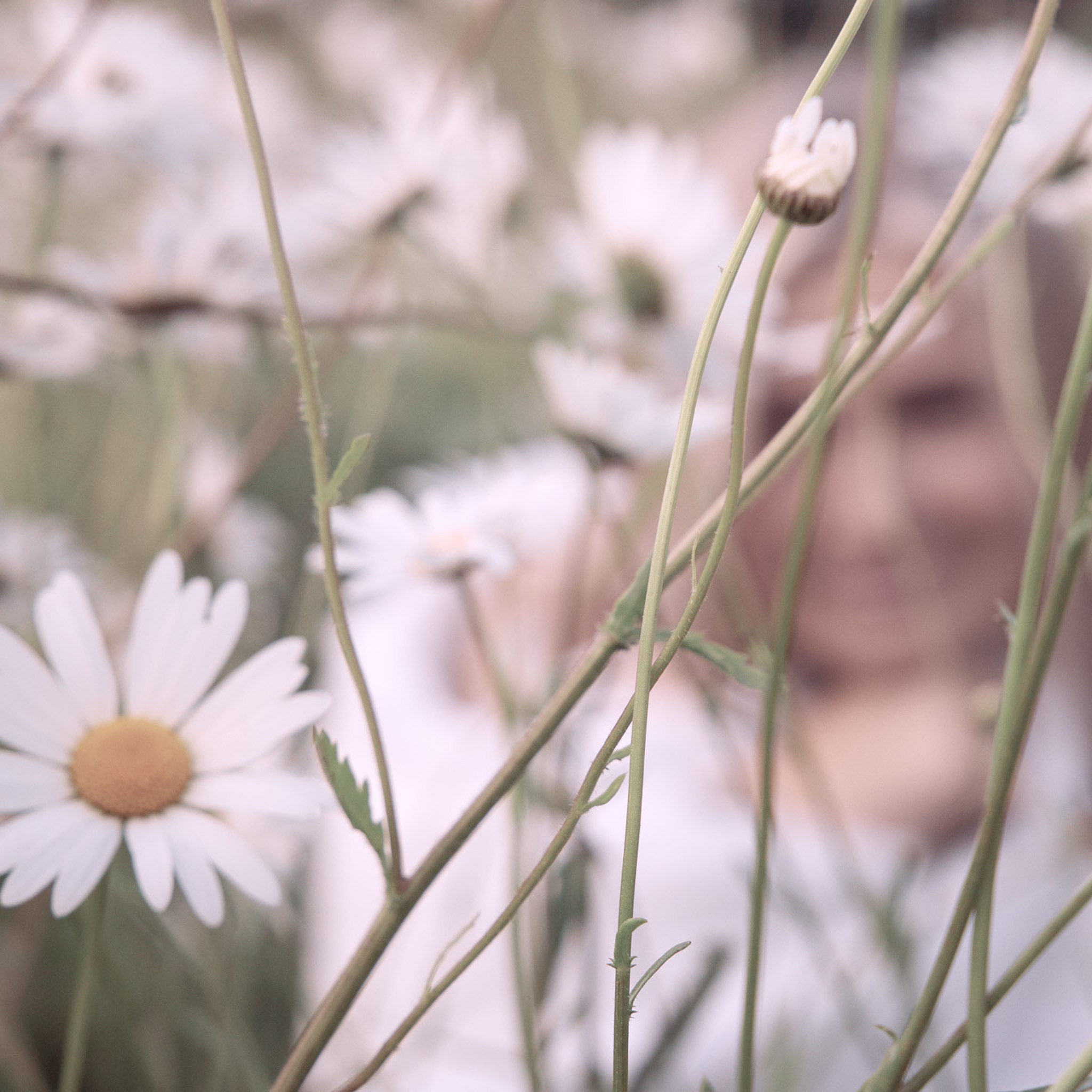 In Harmony with Nature. Natalja Poplavska — Visual artist, Photographer, East Sussex, London