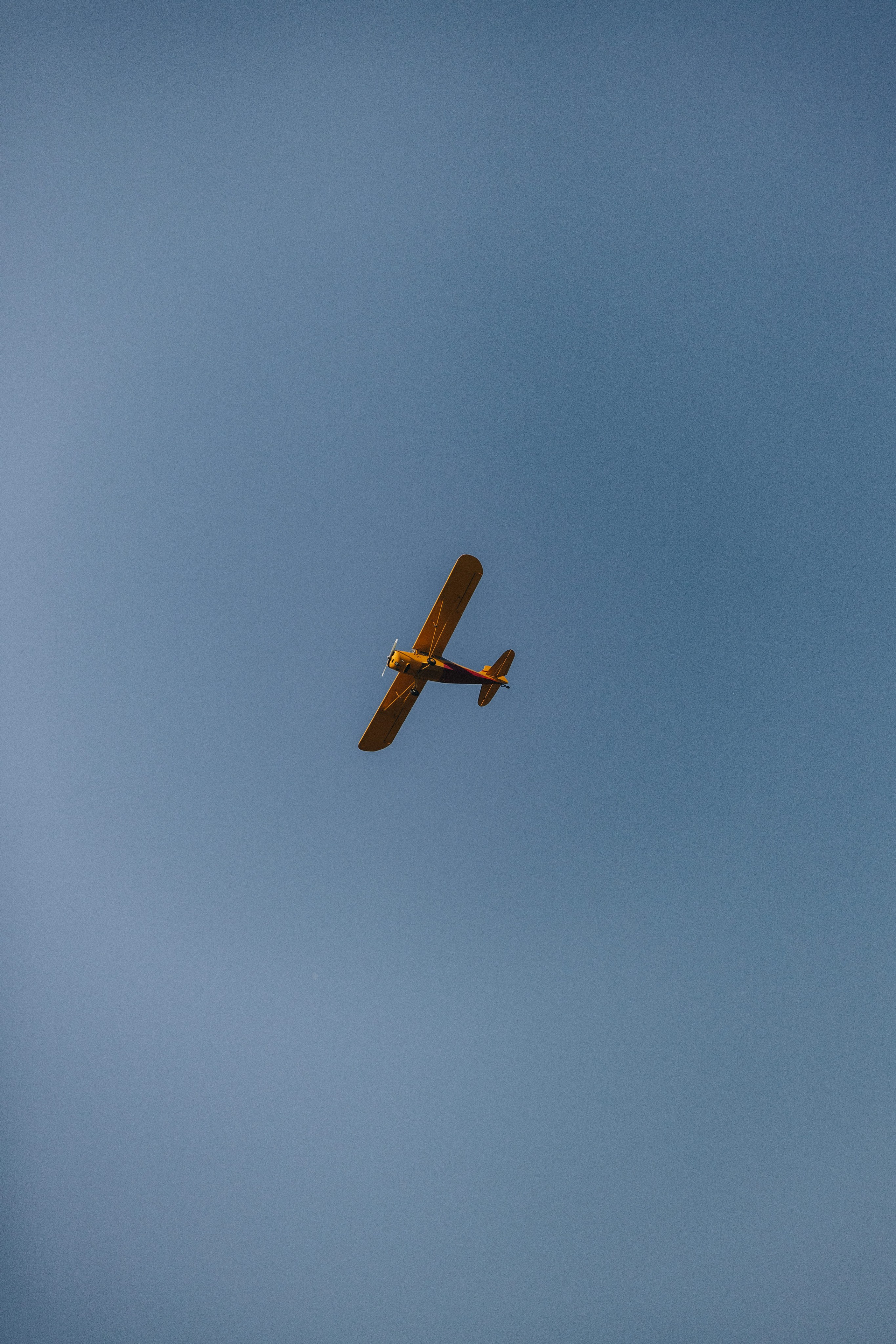 Jessie and Isaac on their wedding day in Portland, Oregon – a genuine moment of joy captured by photographer Georgy Shishkin in a romantic outdoor style, reflecting the charm of Portland & Seattle wedding photography.