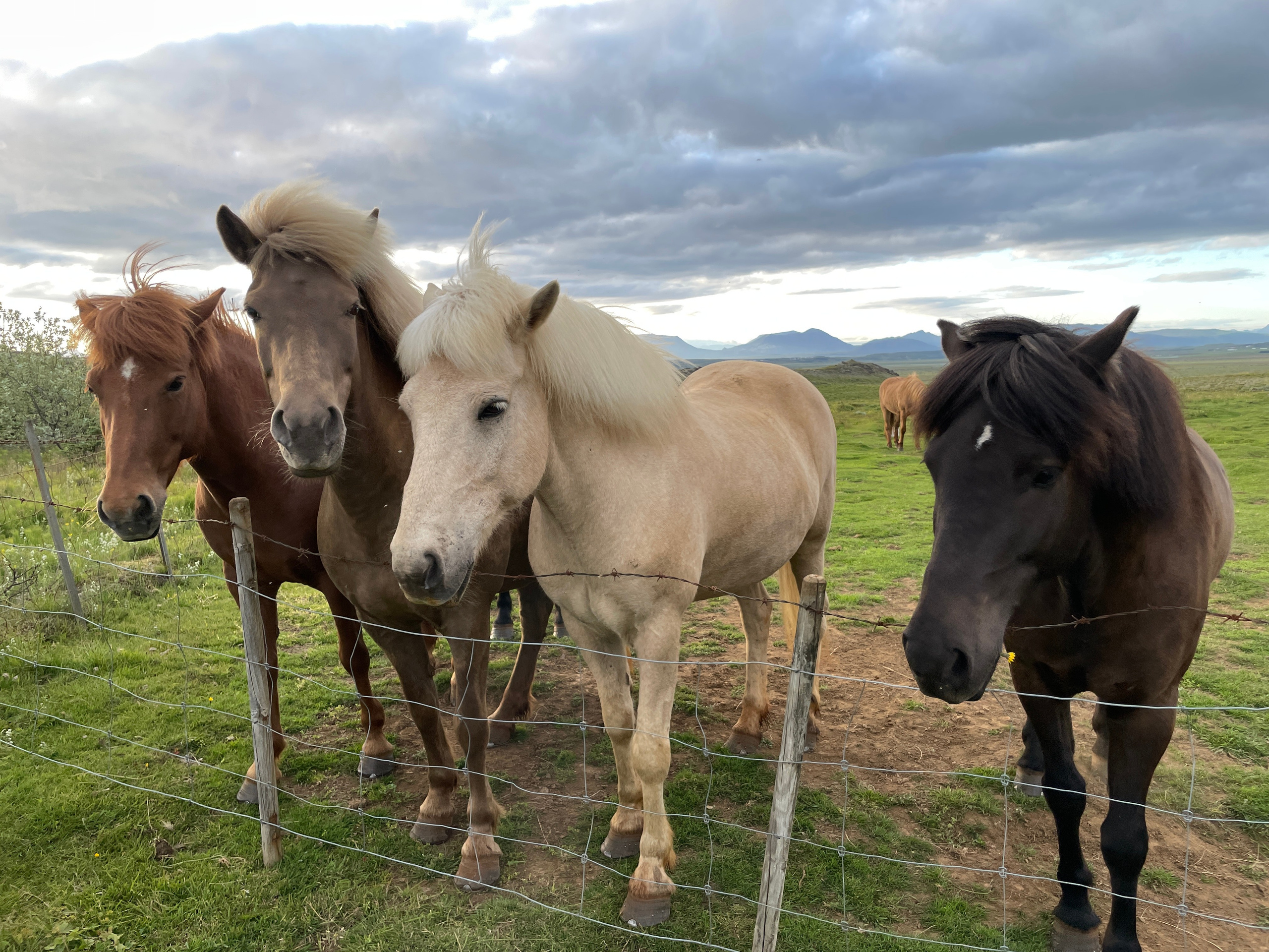 Моя фотопутешествие в Исландию. Евгения Смирнова — Ваш фотограф в Тулузе и на юго-западе Франции
