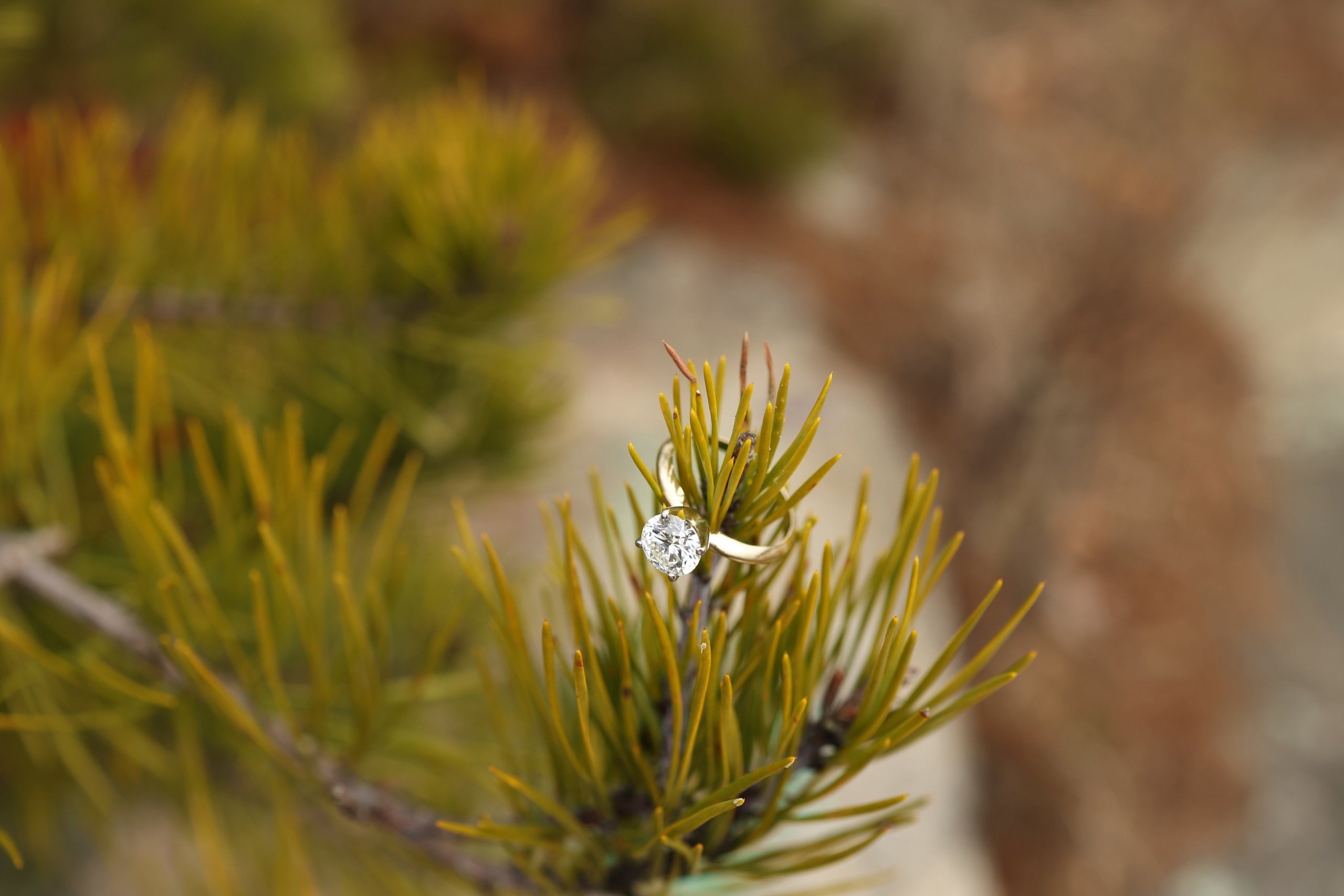Jacob and Emma’s Engagement at The Pretty Place Chapel. Wedding and portrait photography in Greenville SC