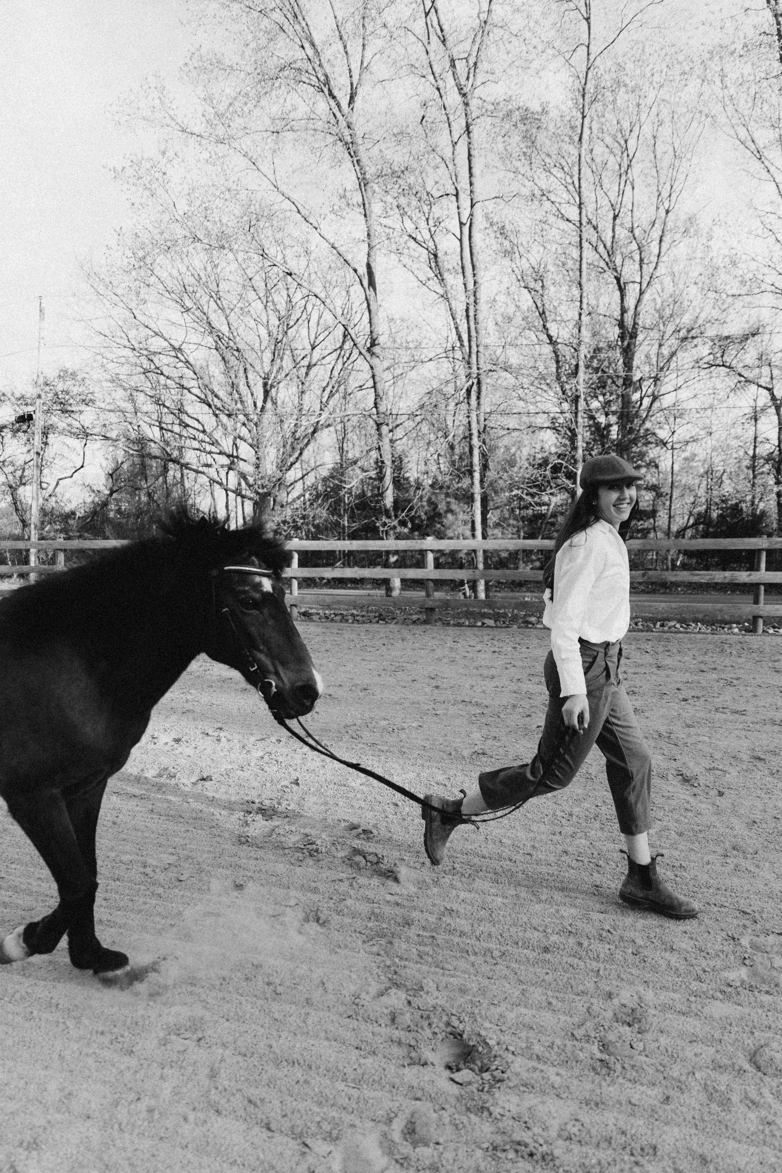 Minis With Horses (Massachusetts)