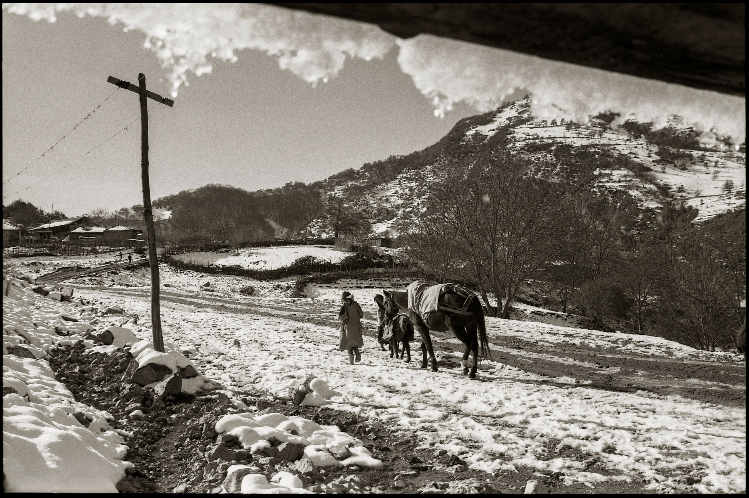 FIELD OF THE MASTER. Www.sananaleskerov.com
