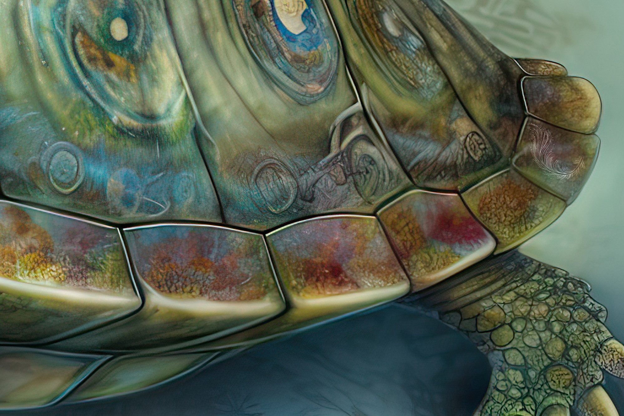 Turtle Collection Sacred Animals Artwork #27 Lolly Shine. Lolly Shine. Contemporary digital artist