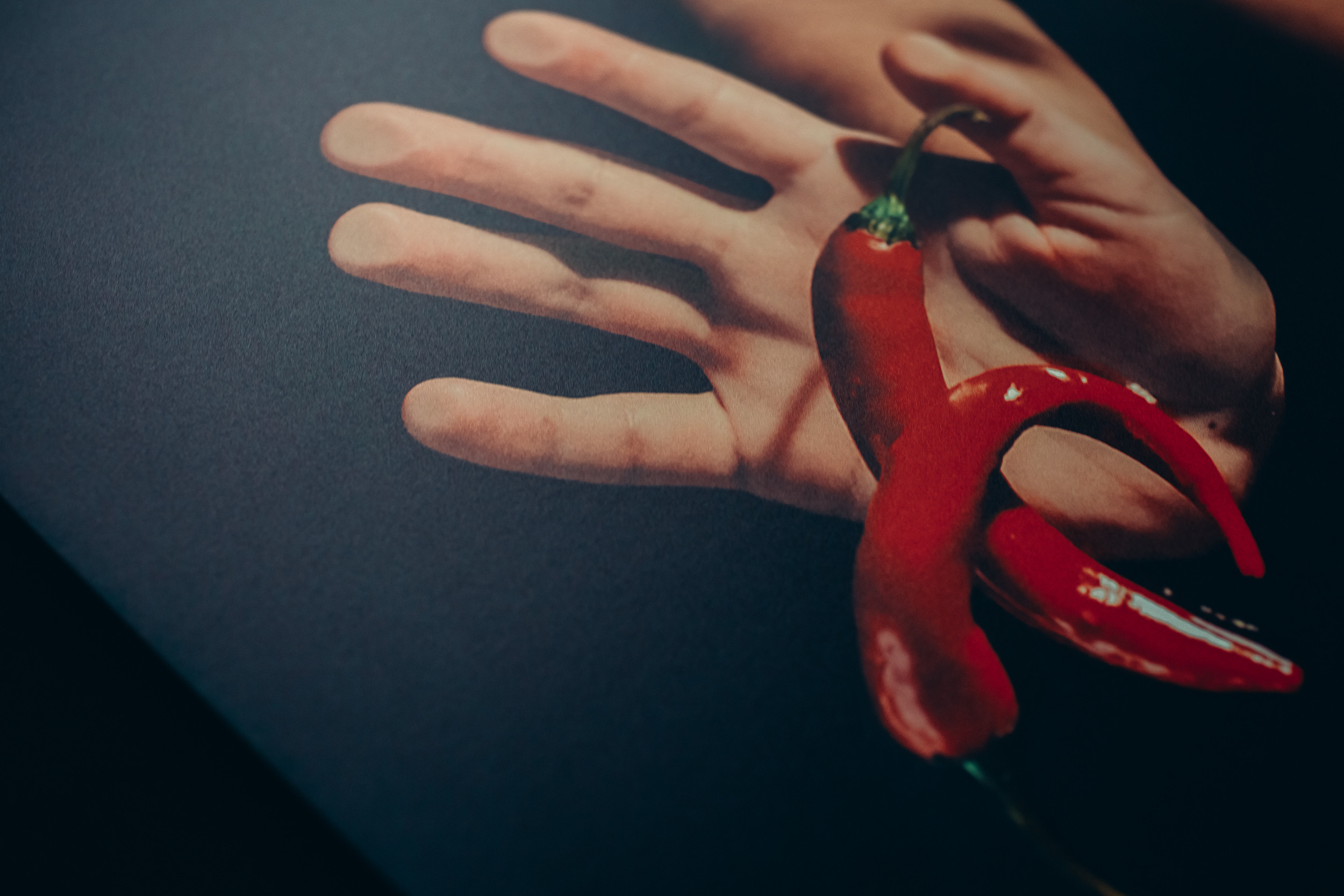 I am conception. Lolly Shine. Contemporary digital artist