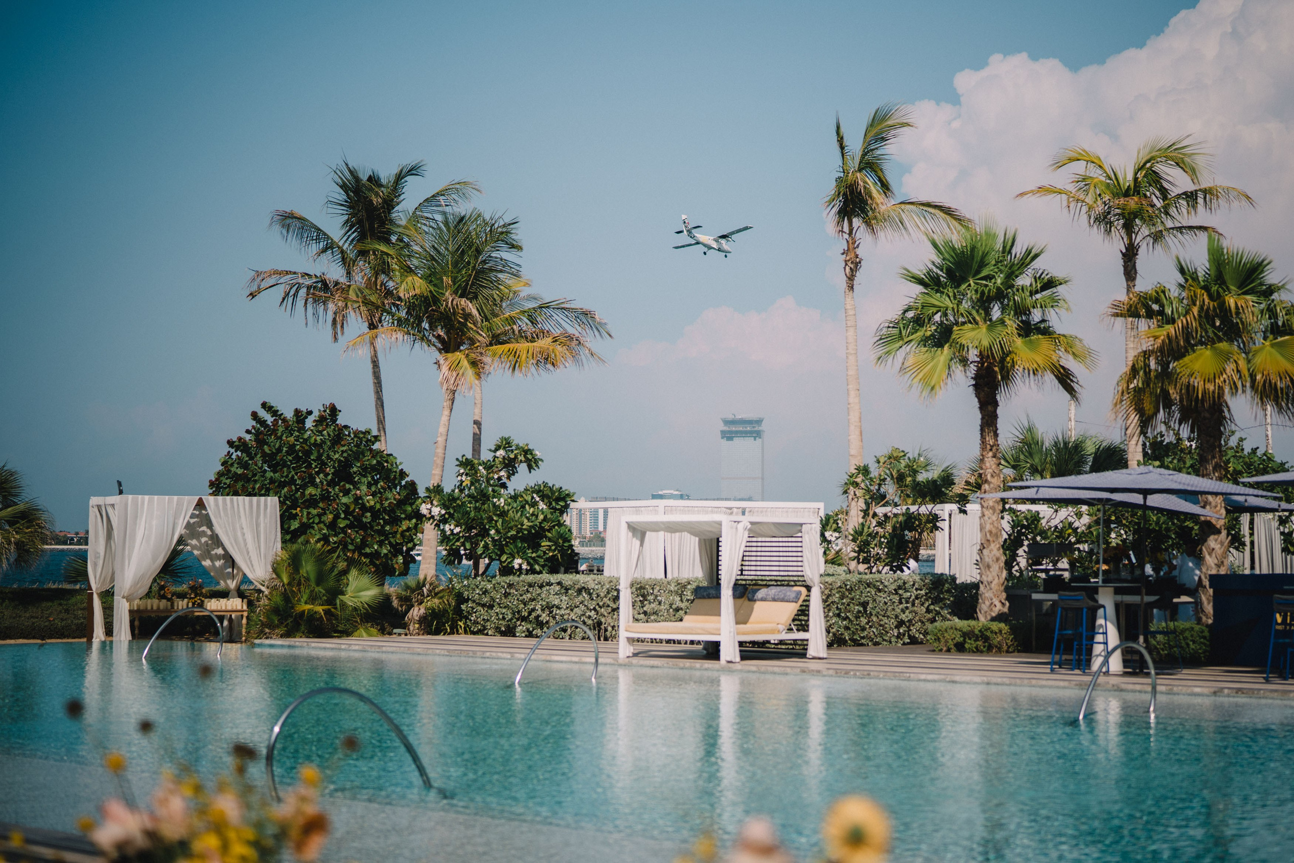 Swimming pool and palm trees with a plane which is about to land