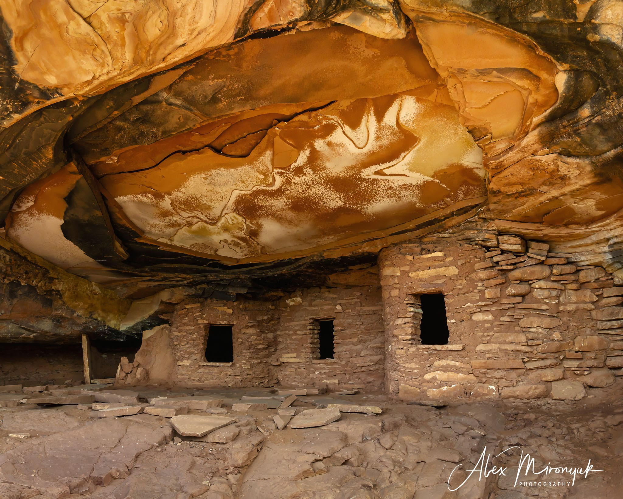 Eagle’s View American Southwest. Pet, Senior, Landscape, portrait studio, photographer in Miami and Sou