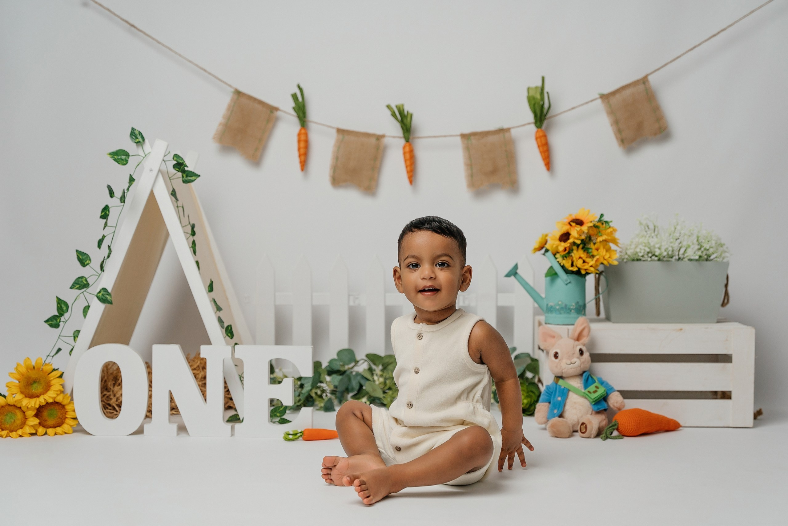 Peter rabbit cake smash session. Newborn and family photographer. Hills District. Sydney