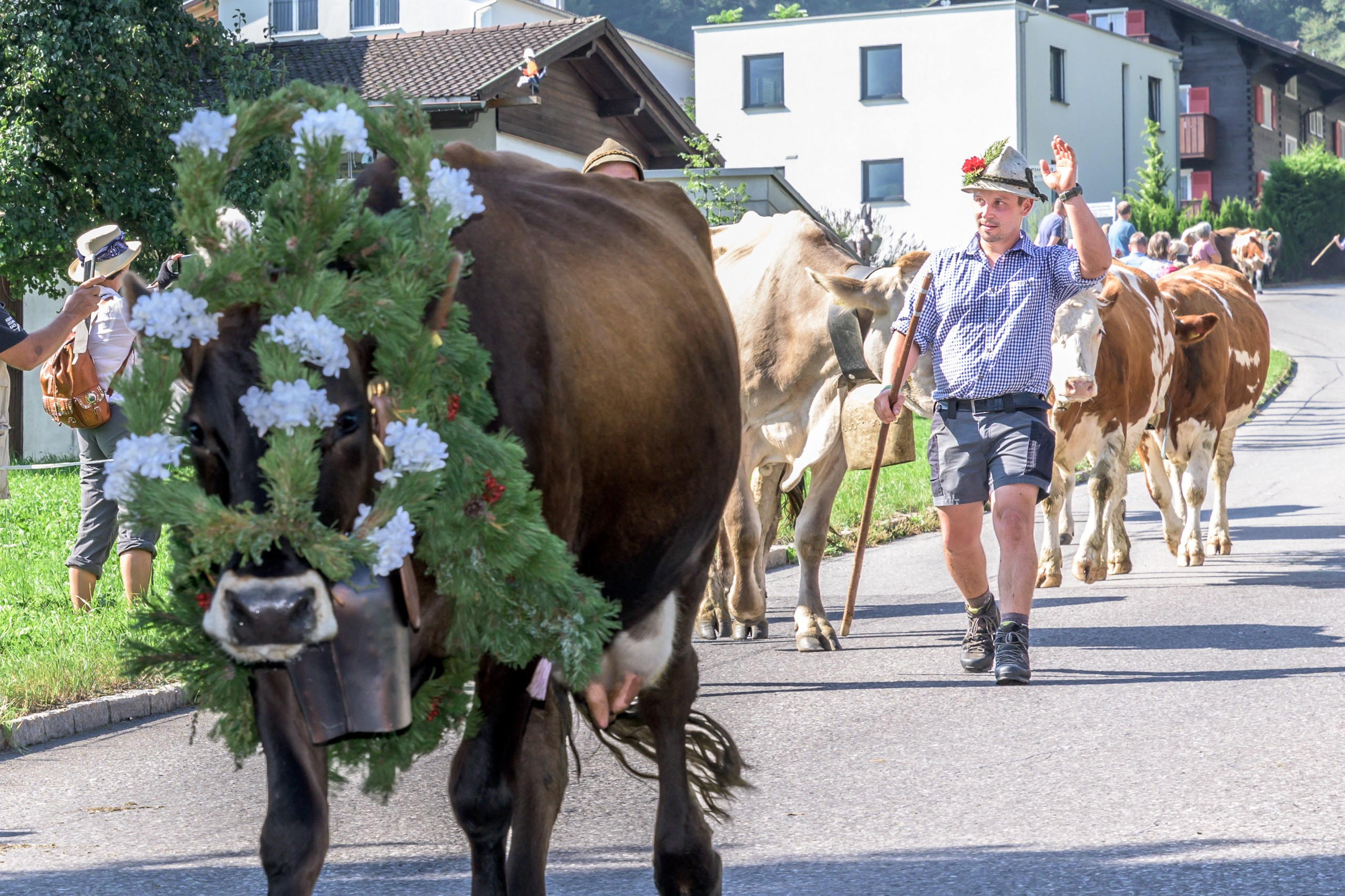 Porträt und Content Fotograf aus Feldkirch Jack Dovgani