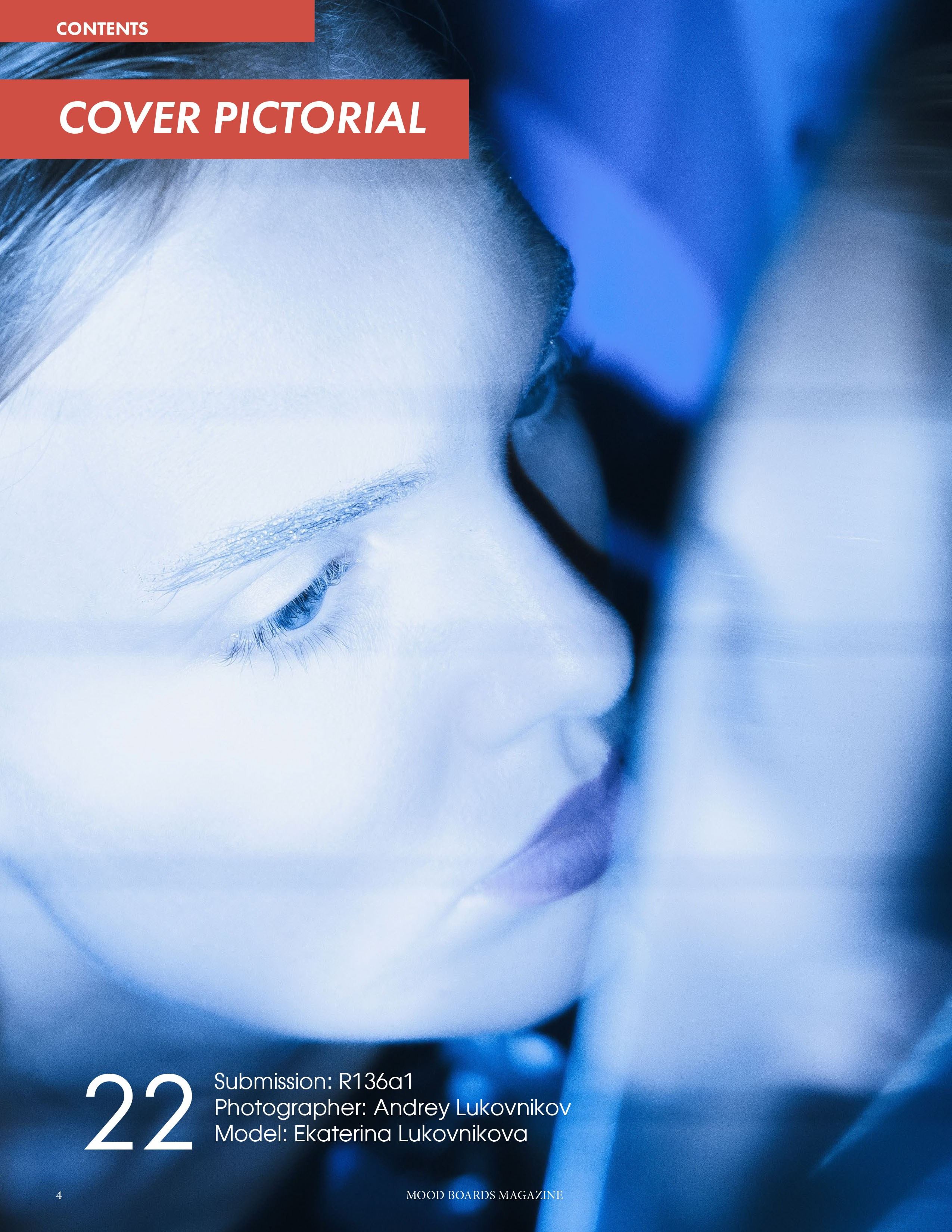 The best publications of the project R136a1