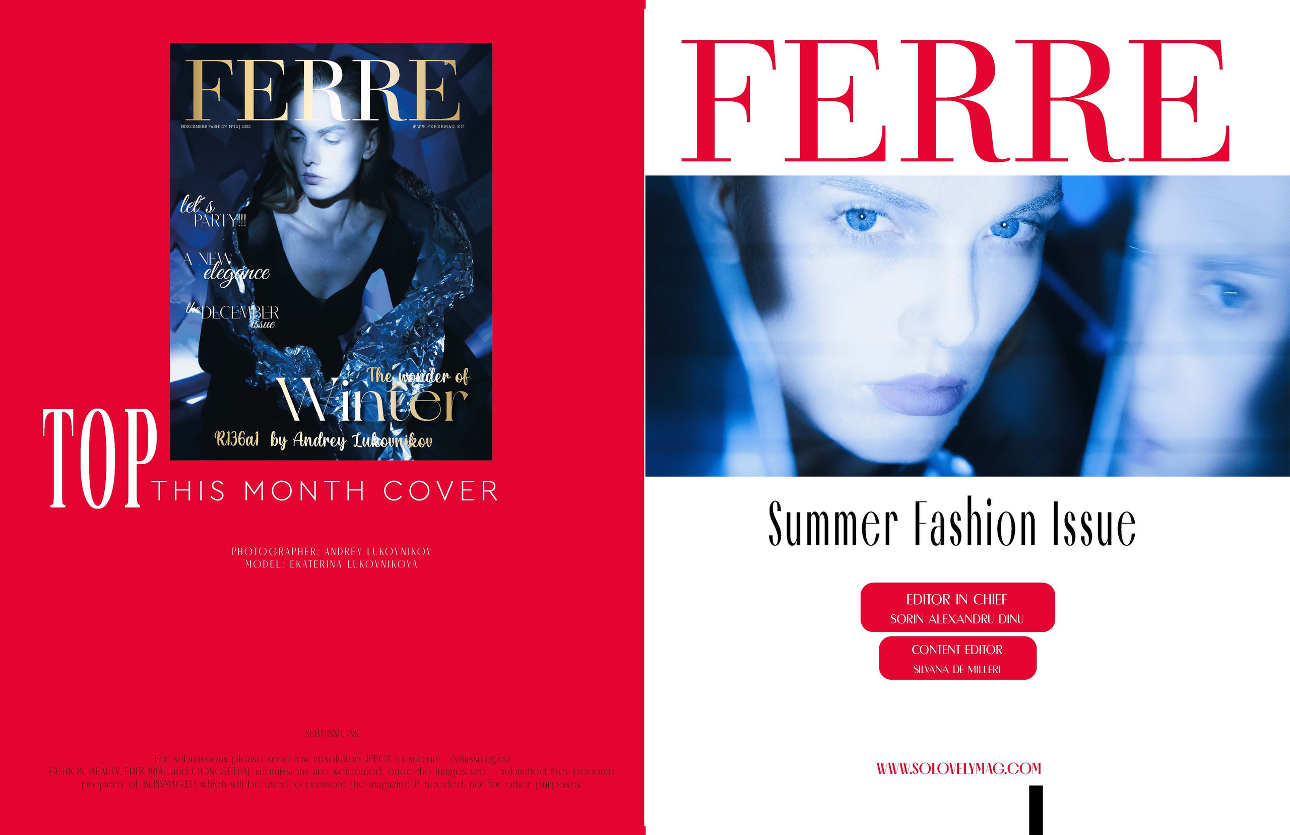 The best publications of the project R136a1