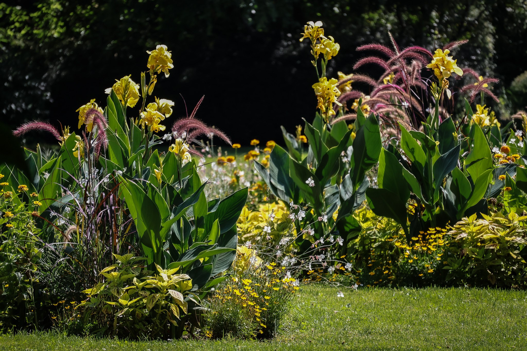 Kagran School Gardens