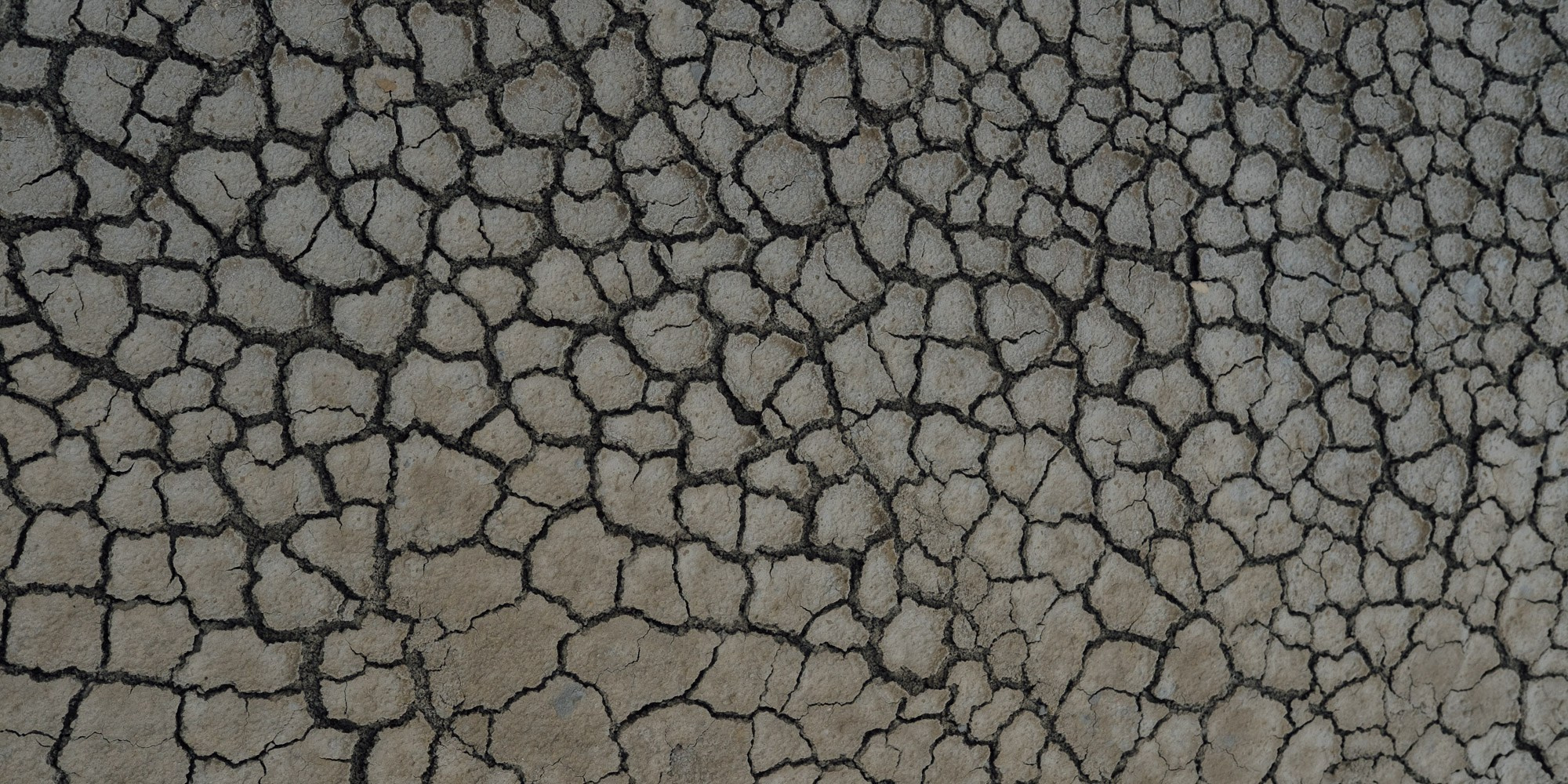 Təbiət Fotoqrafiyası və Portret Çəkilişləri. Bakıda Peşəkar Tədbir, Love Story və Təbiət Fotoqrafı — Elşən Baba