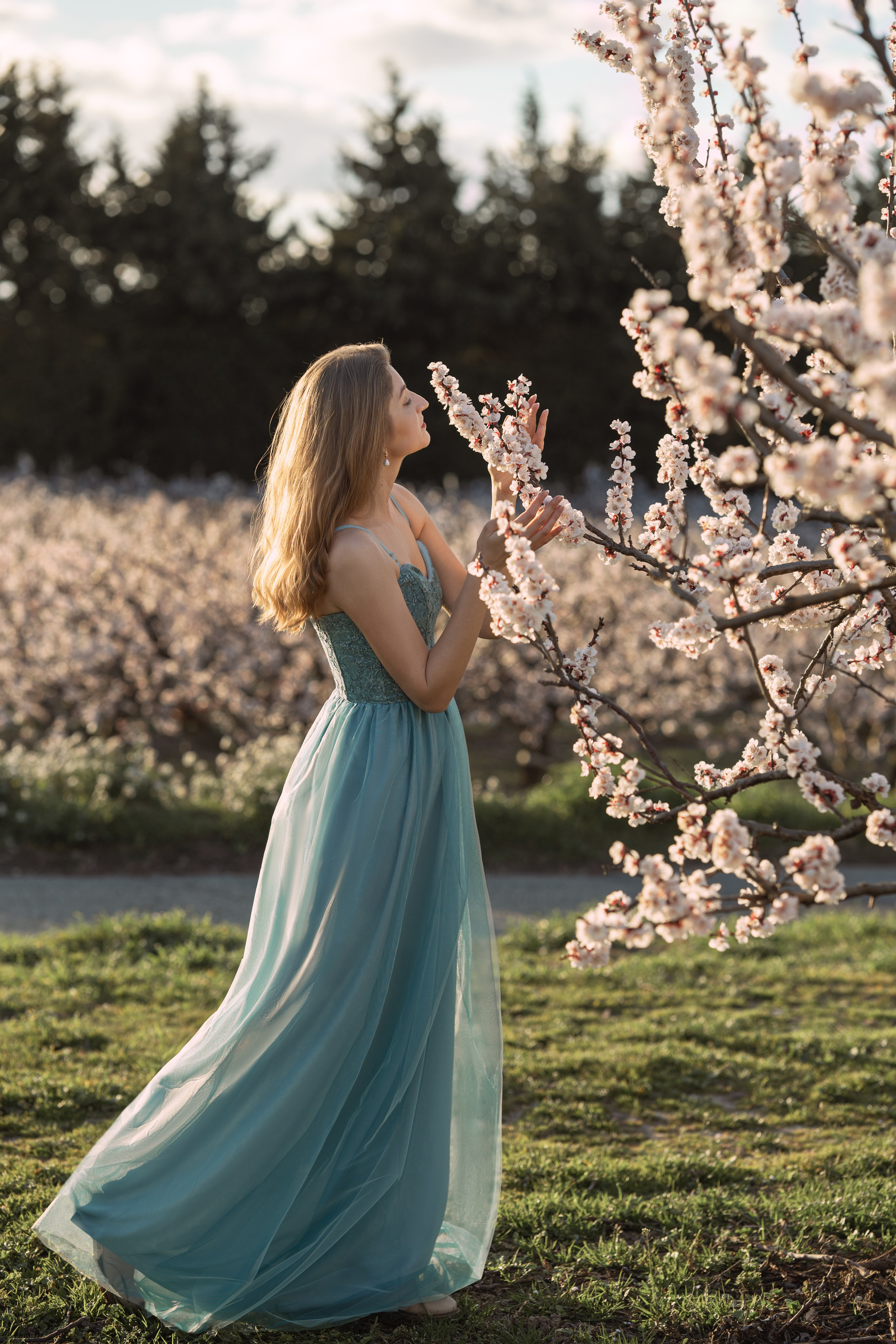 Shooting photo dans les cerisiers fleuris. Photographe et retoucheuse des images des produits à Avignon en France
