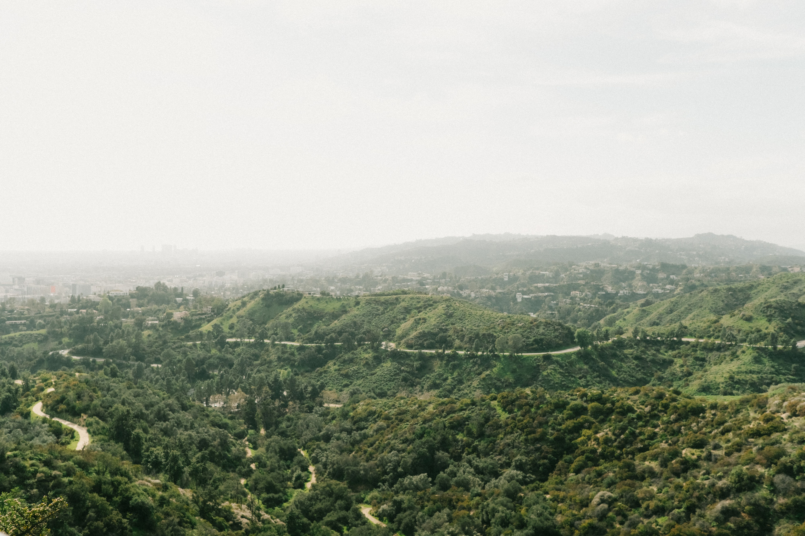 Xenia Monich Ventura County Photographer