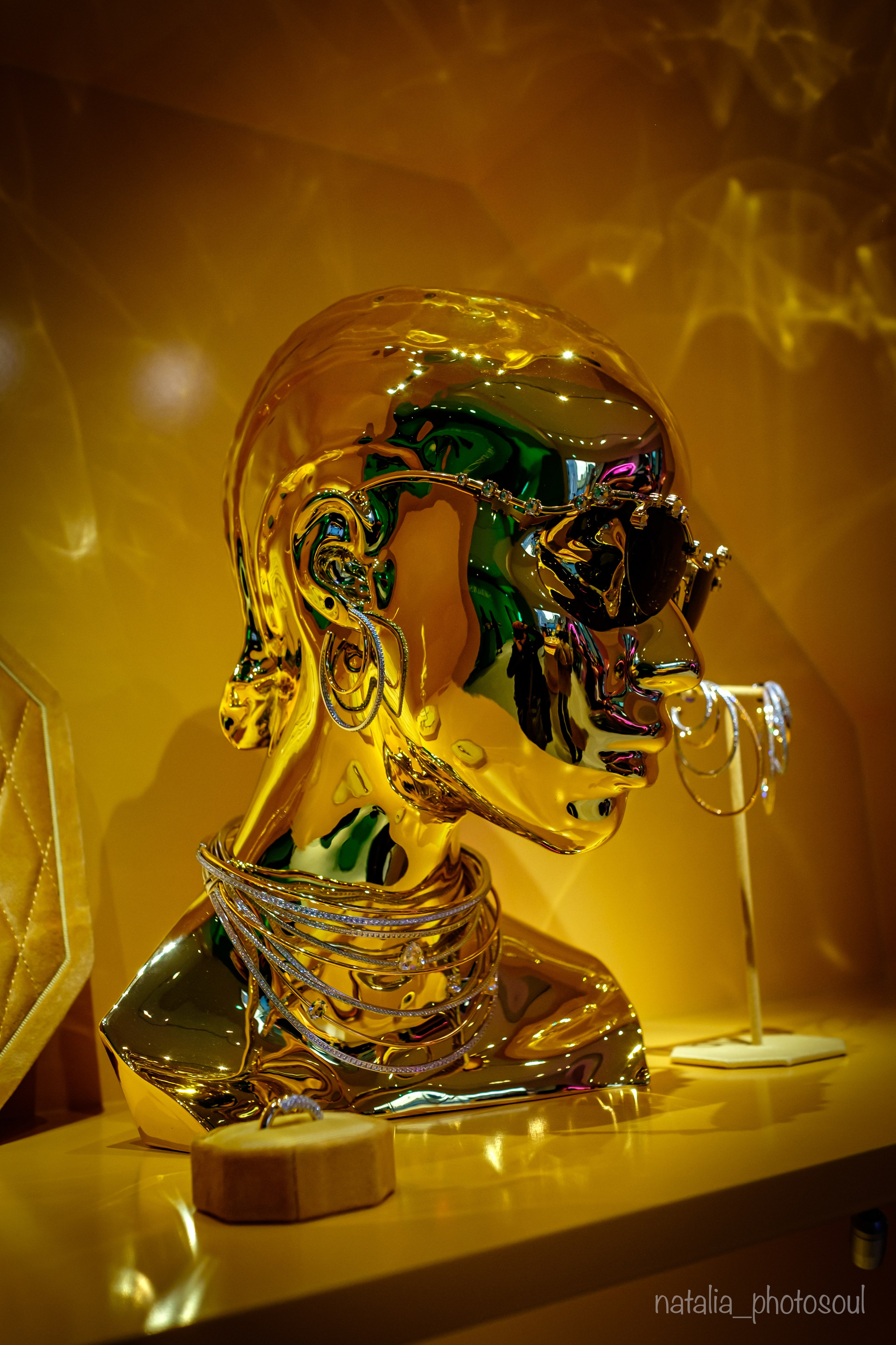 SWAROVSKI MASTERS OF LIGHT FROM VIENNA TO SEOUL. Photographer in Seoul Dobrokvashina Natalya