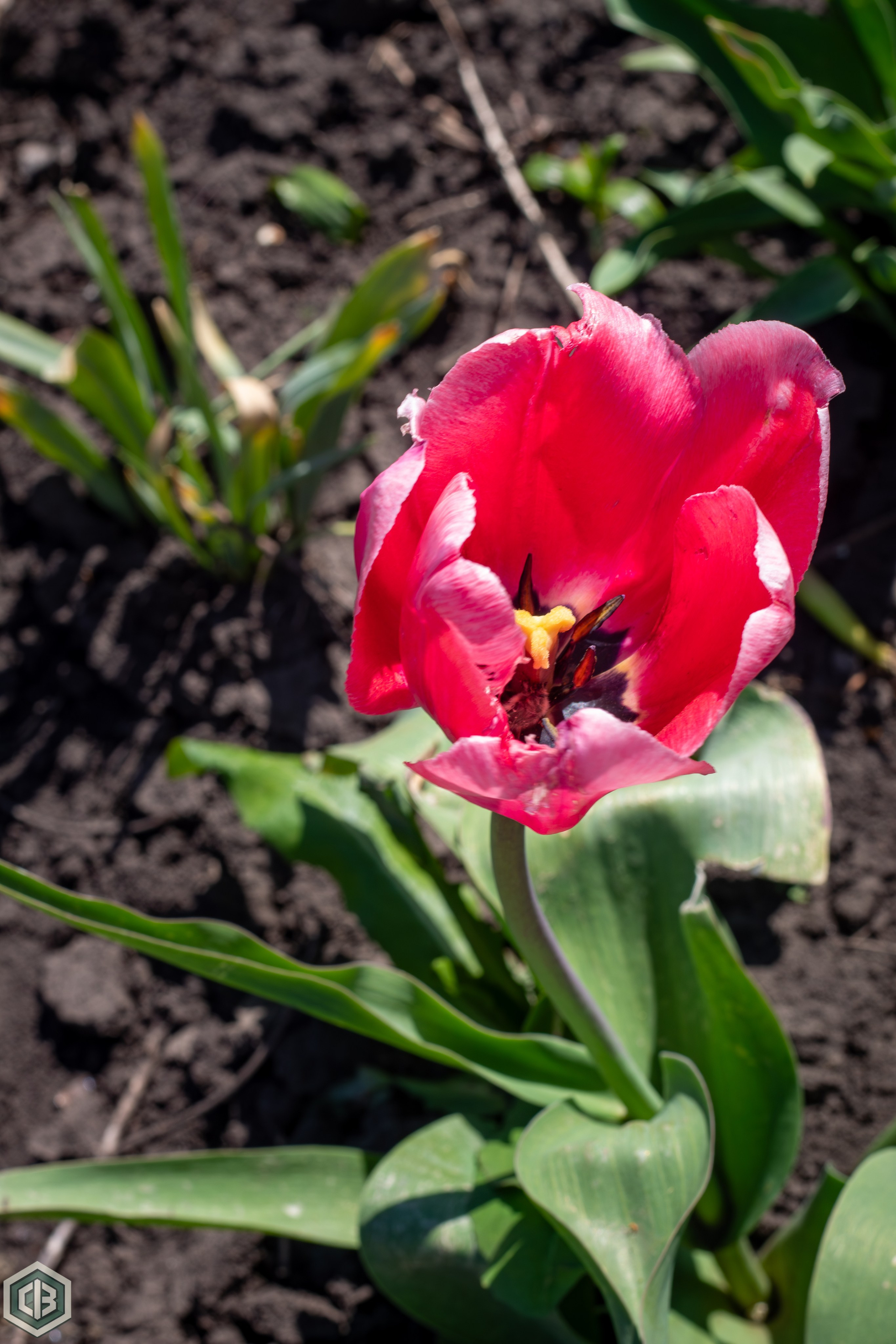 Trip to Mileanca. Cristian Baltag | Photography | Capturing Moments in Iasi