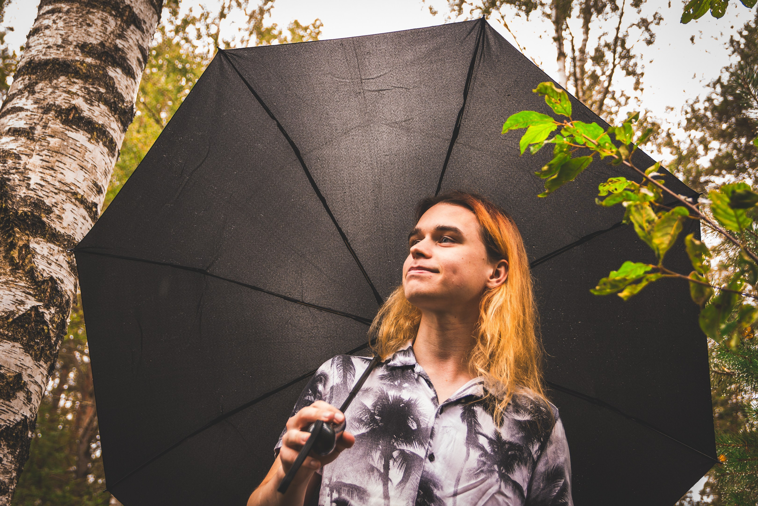 Nebula 25 — Fotod teie hingele