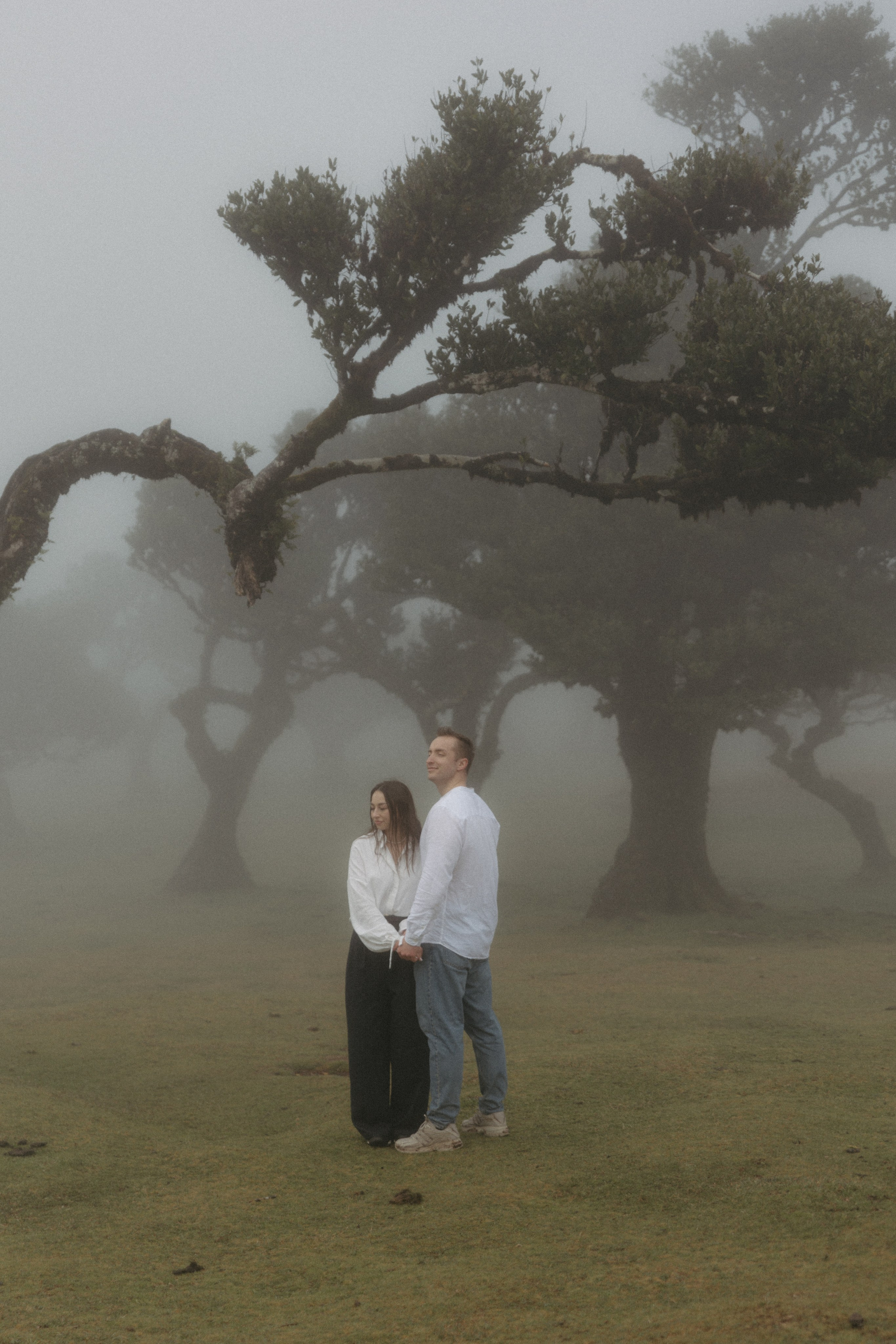 Magic of Fanal Forest. Wedding photographer and videographer based in Timisoara, Romania