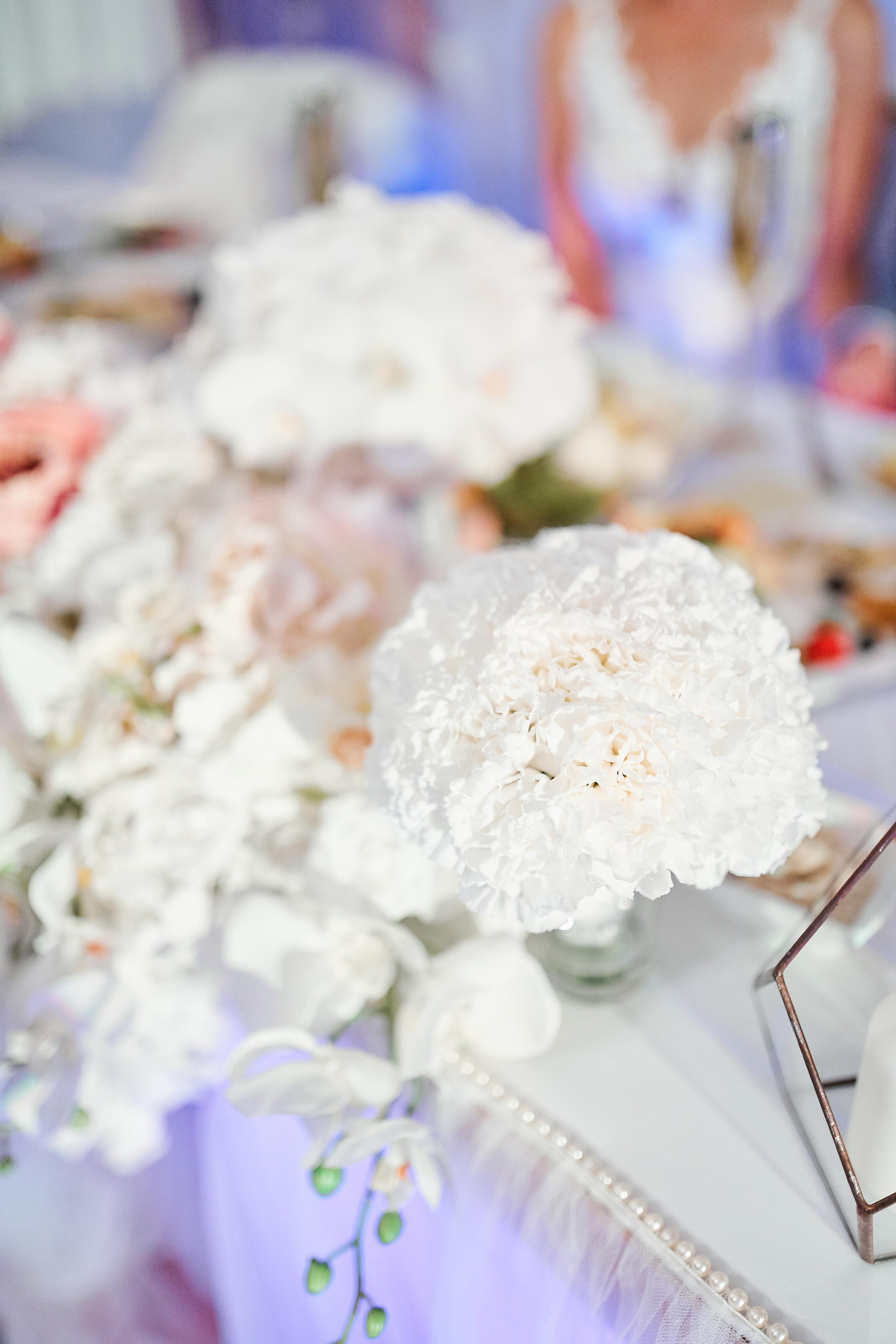 Elina & Igor. Свадебный фотограф Даугавпилс, Рига/ Kāzu fotogrāfs Daugavpils, Rīga