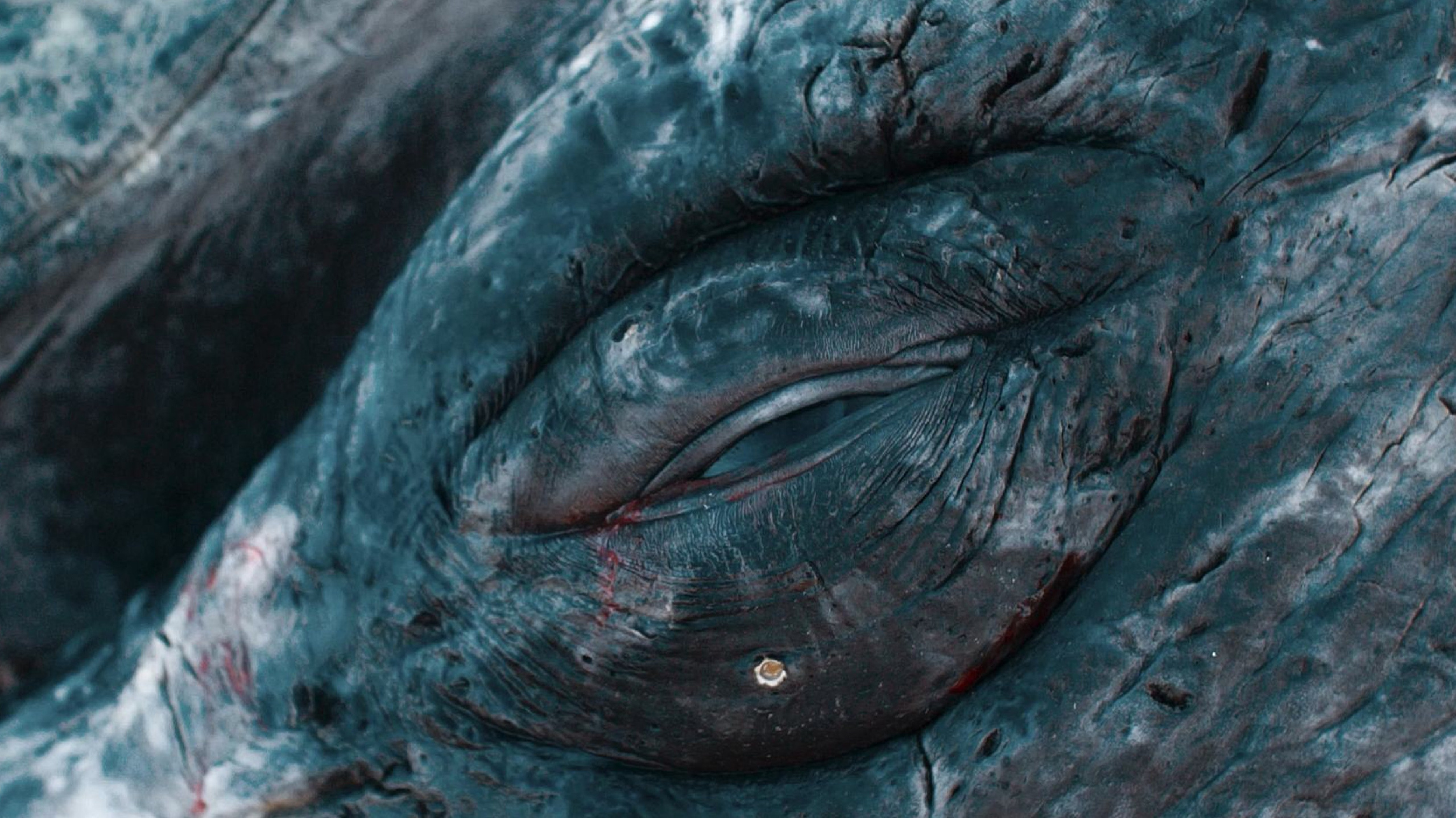 Piblokto. Singularity Film