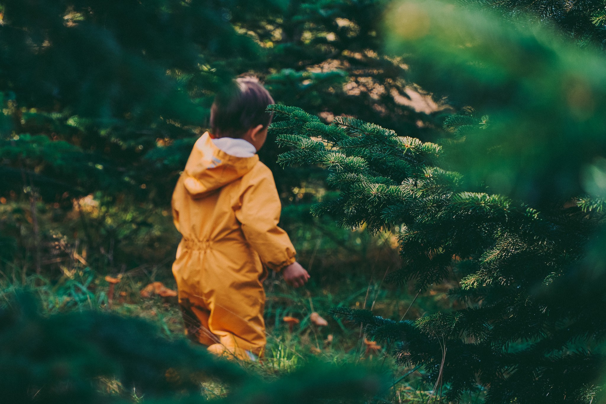 Pumpkins picking photo shoot in Solihull. Creative Family, Brand, Boudoir and Wedding Photographer in Solihull & Birmingham Irina Zoteeva