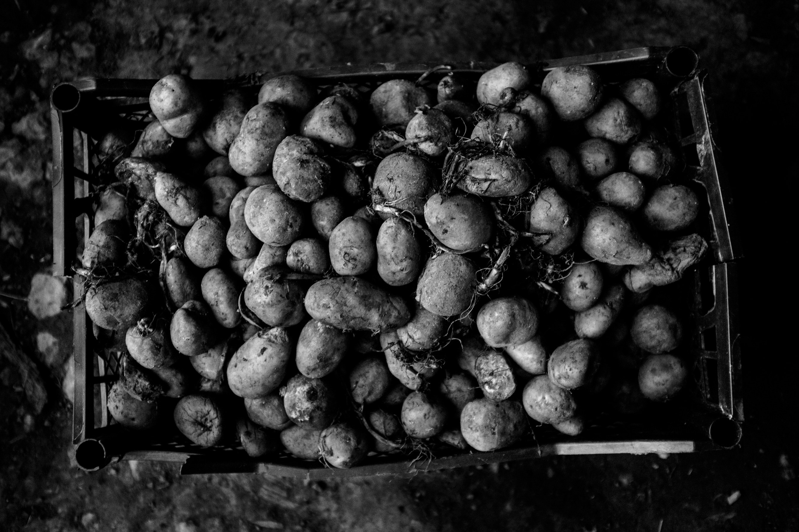 “Mob.” (Military mobilization), 2016. Areg Balayan — Photographer/Visual Artist