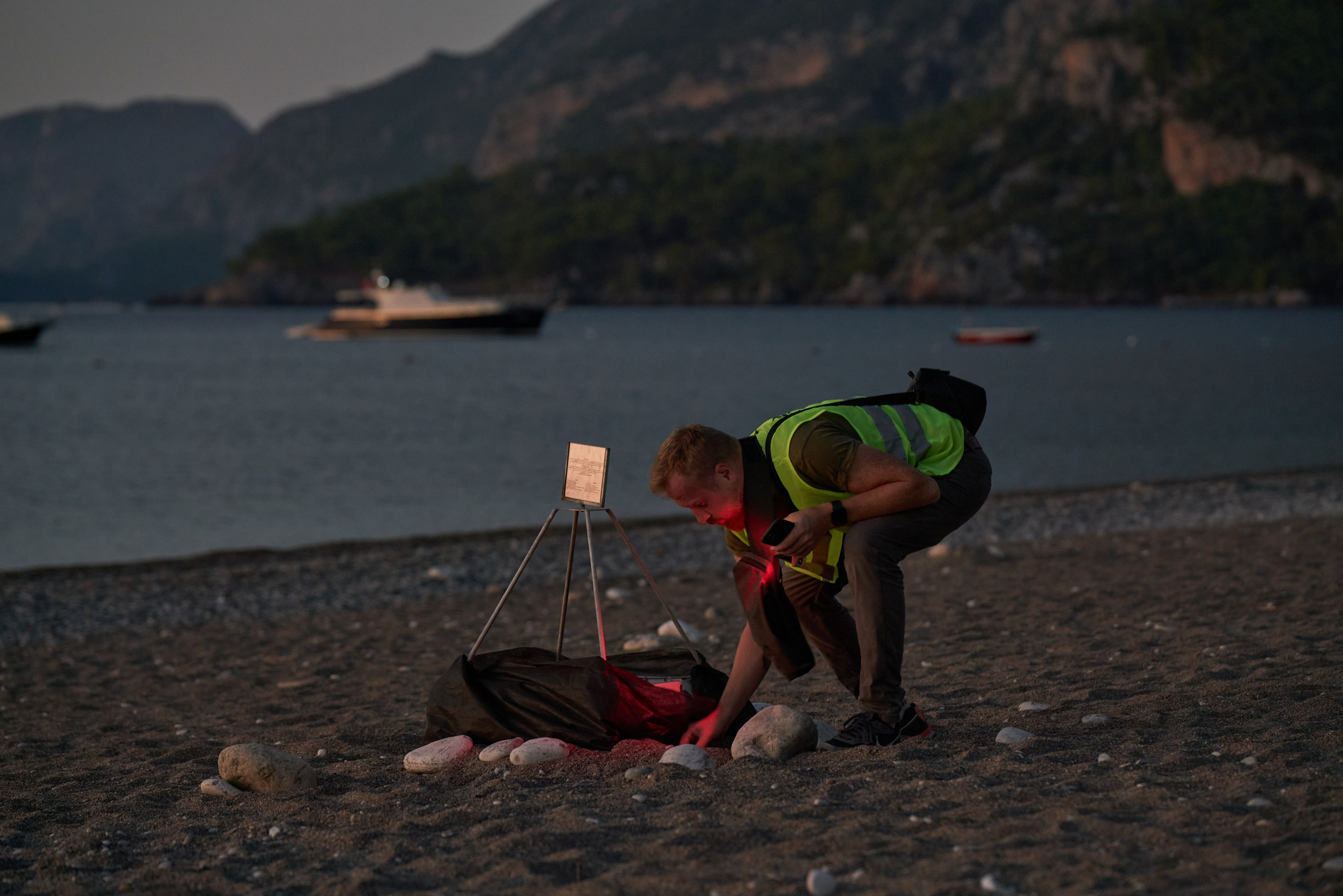 Caretta caretta | Anastasiia Nelen photographer