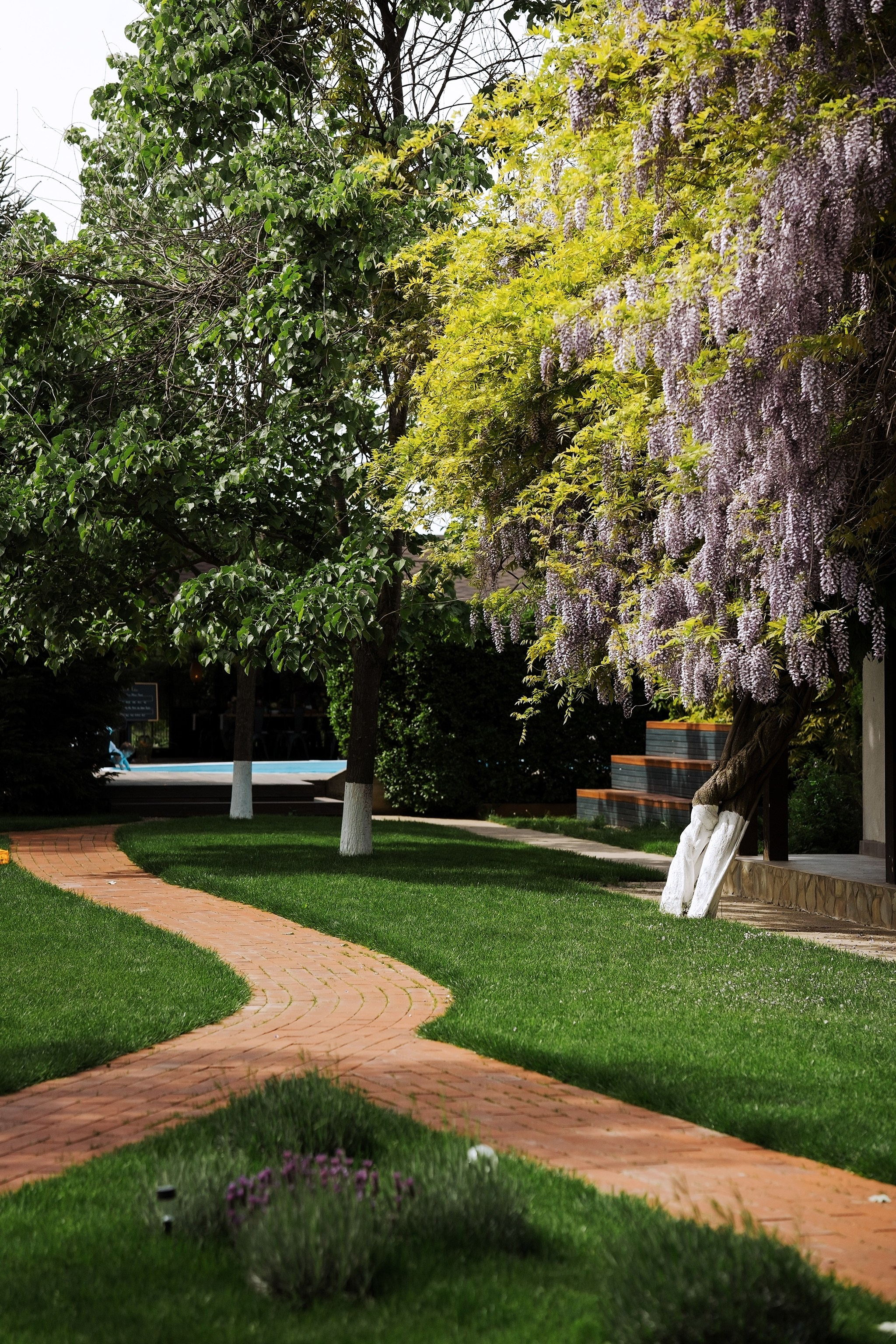 Calin. Fotograf evenimente. Fotograf nunta. Fotograf Botez. Mihaela Savu