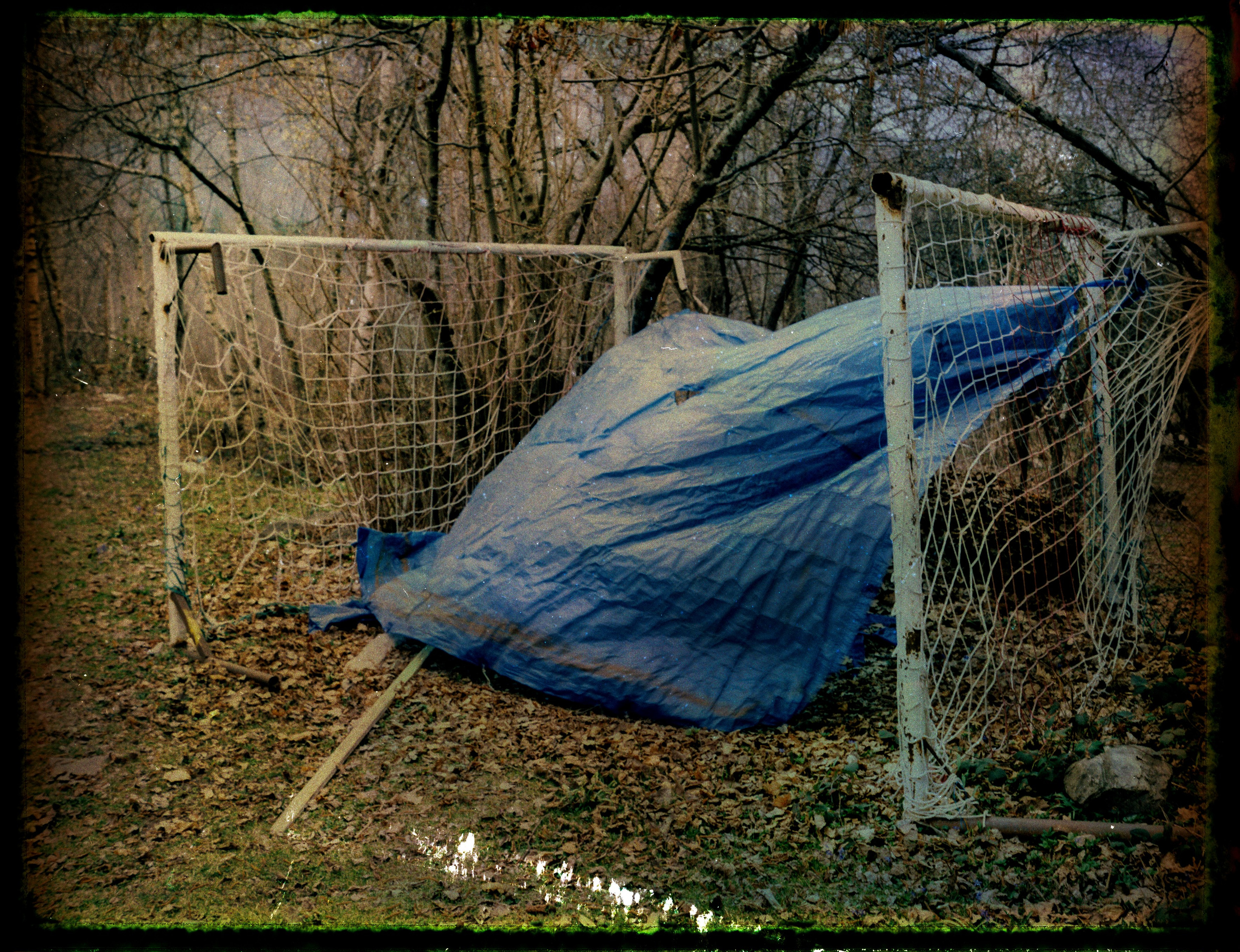 POLAROID. Www.sananaleskerov.com