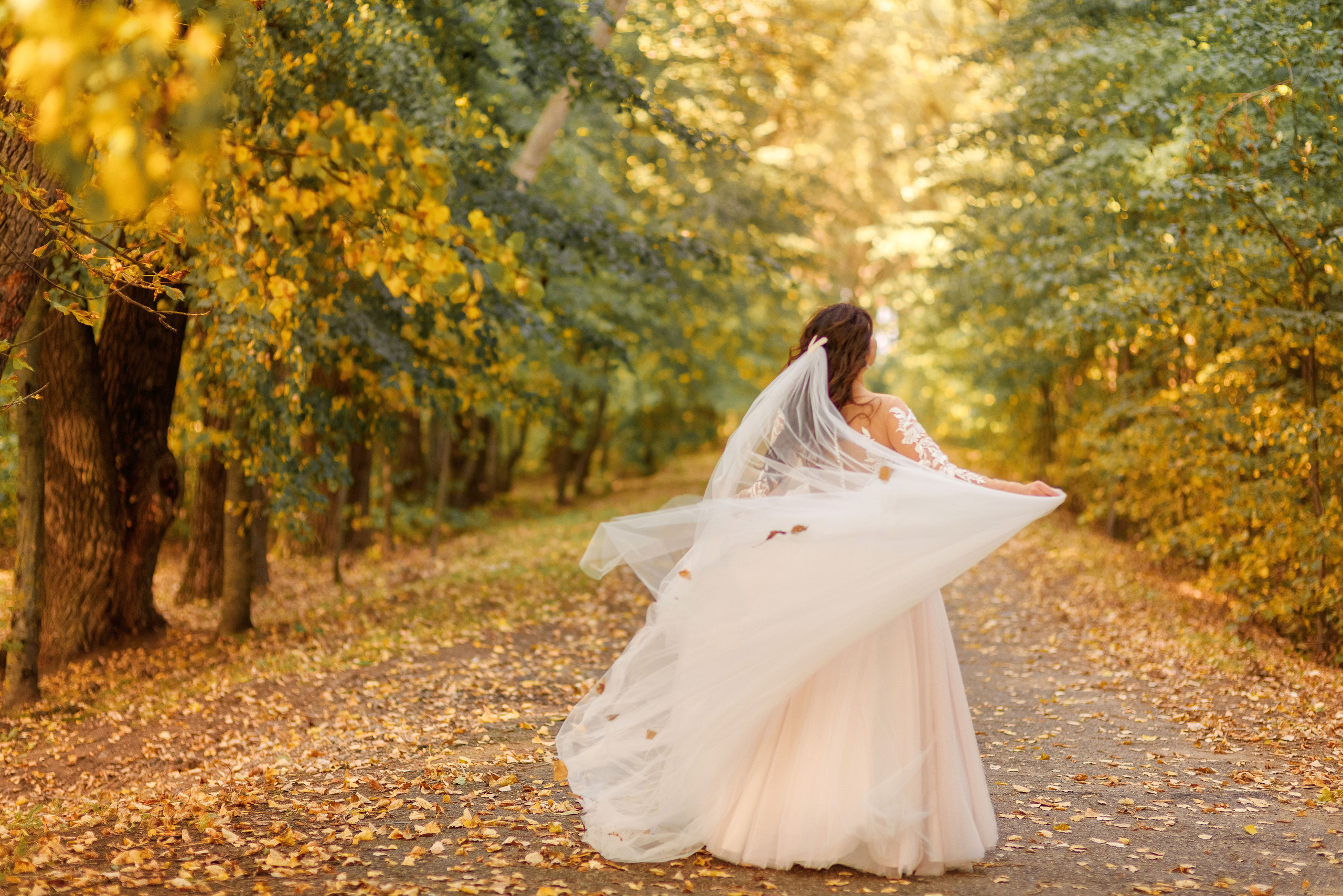 Сентябрьская свадьба. Семейный фотограф и фотограф новорожденных в Вильнюсе Ирина Беленкевич