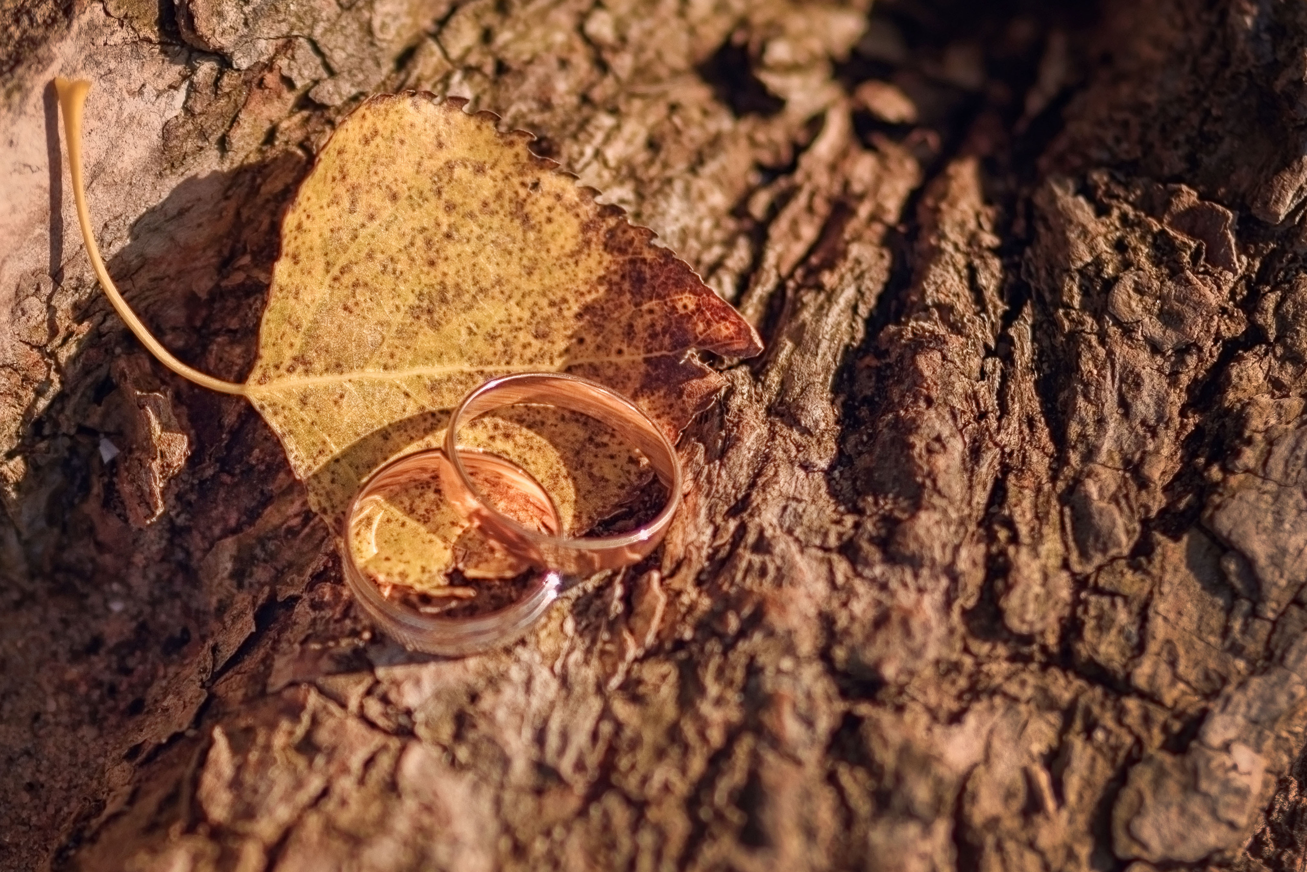 Сентябрьская свадьба. Семейный фотограф и фотограф новорожденных в Вильнюсе Ирина Беленкевич