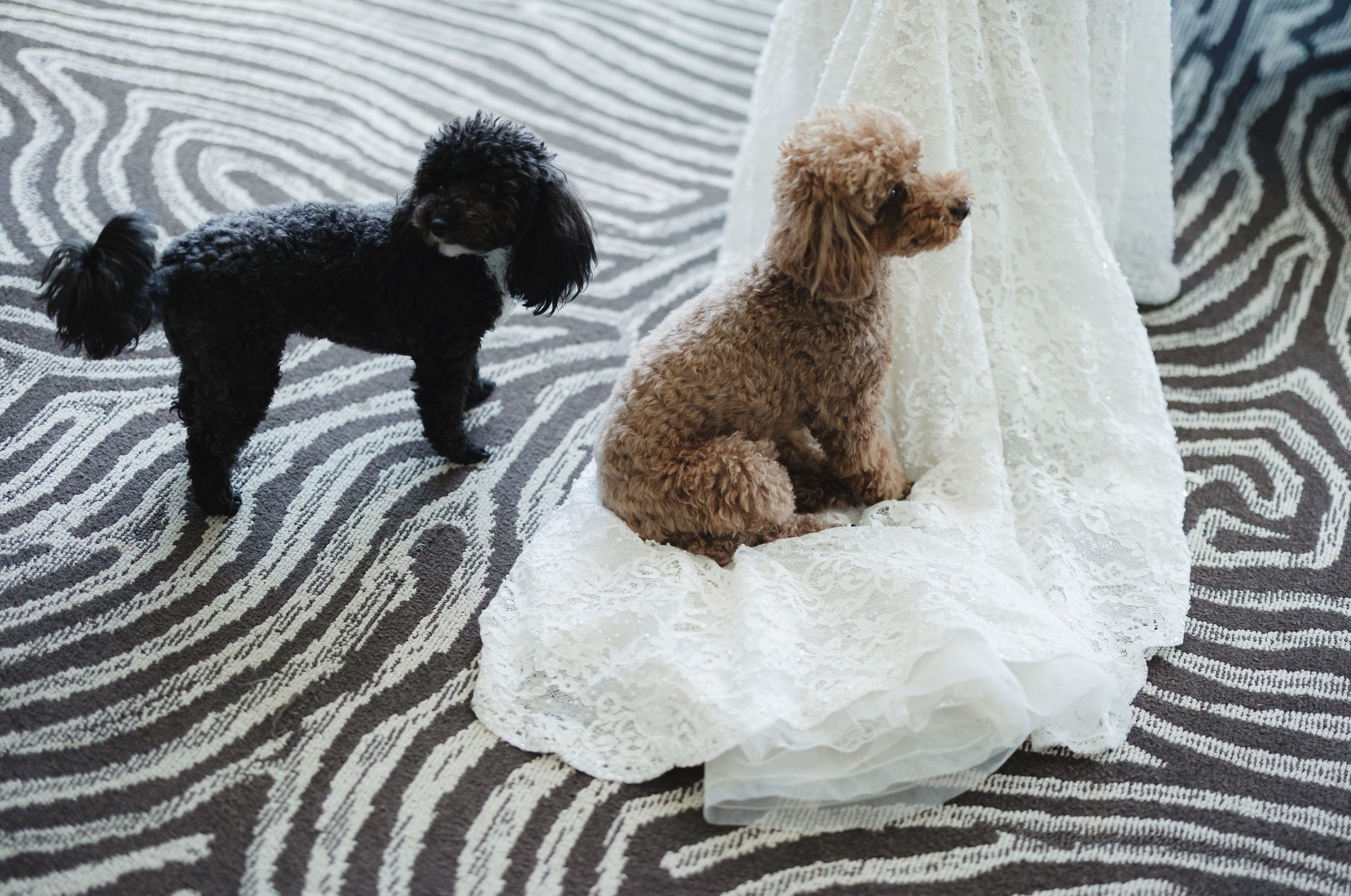 PAM & STEVEN. YES I DO PRODUCTION — Wedding photography&videography