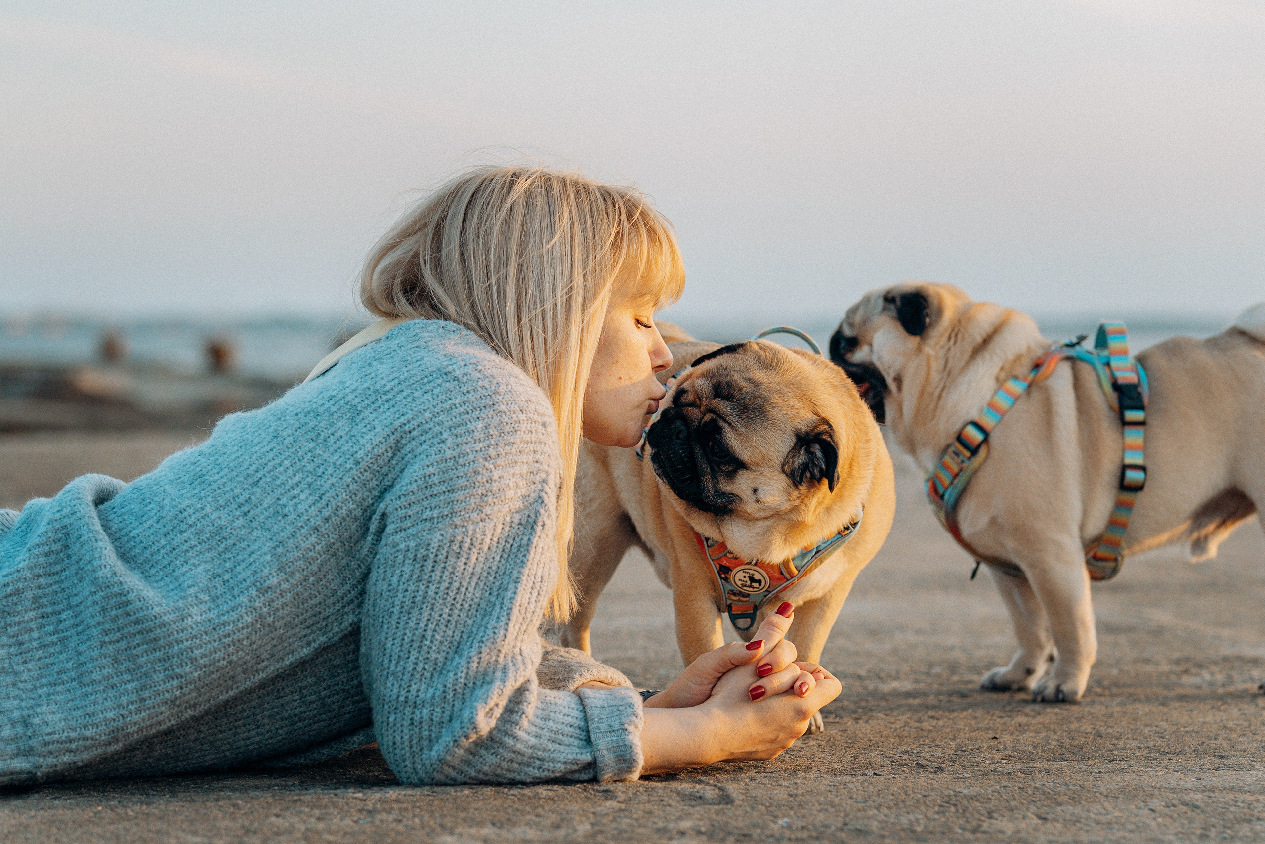 Kat Laisaar — Pet photographer in Tallinn