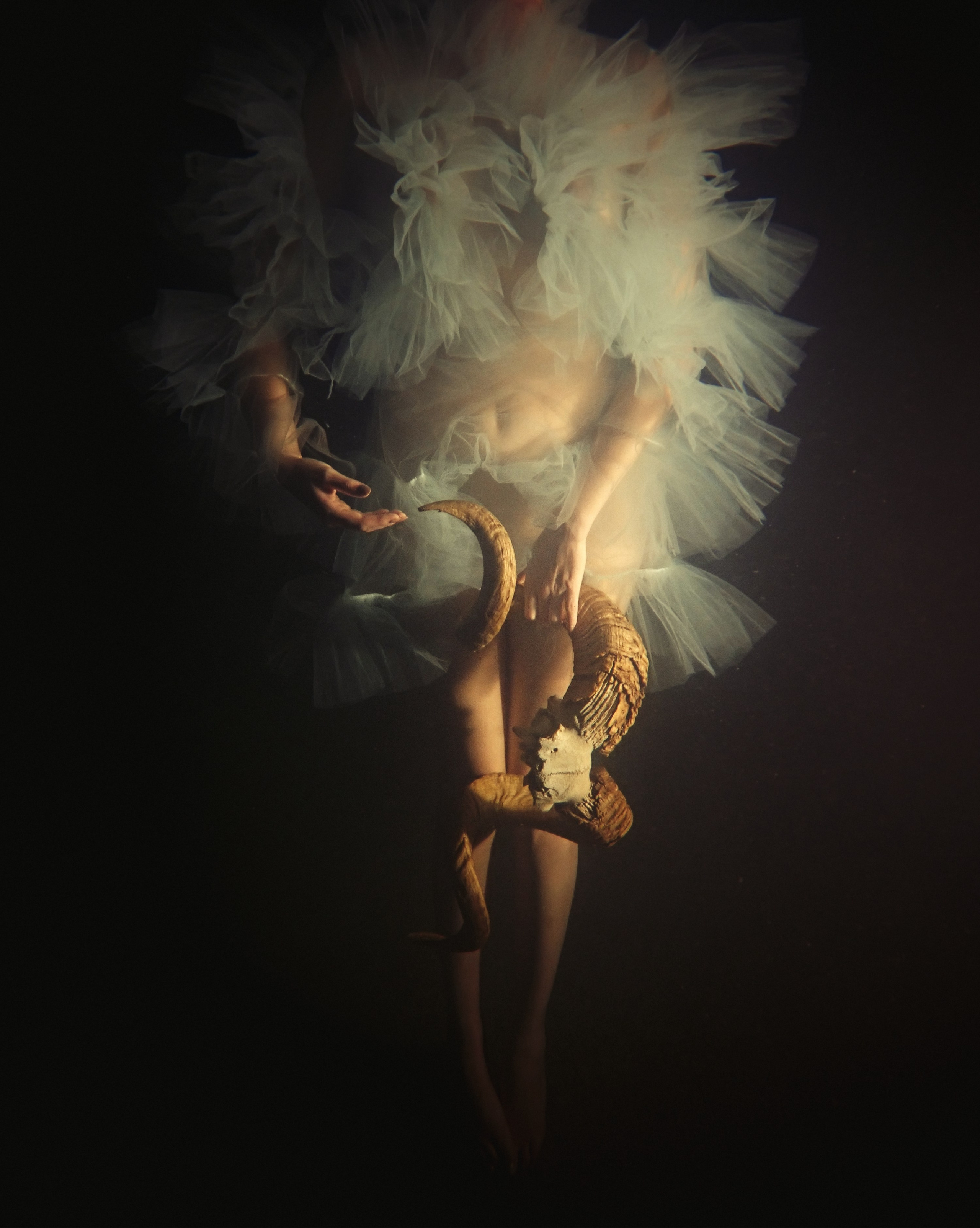 Photo by Kari Bishop