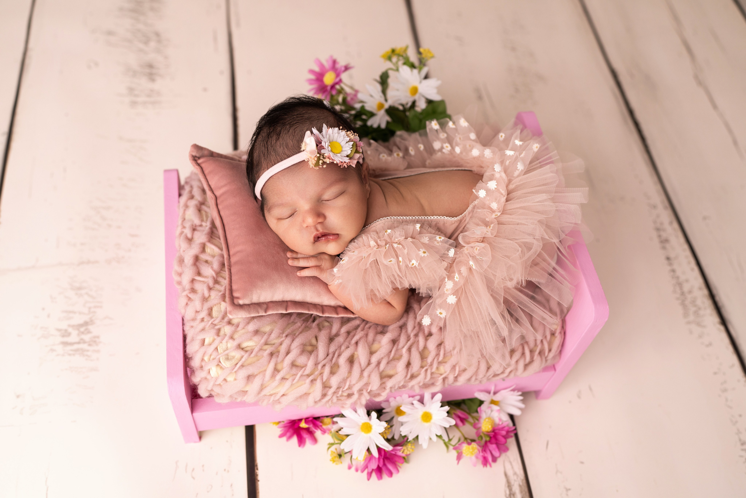 Packages and pricing. JaneProPhoto | Tampa Newborn Photographer