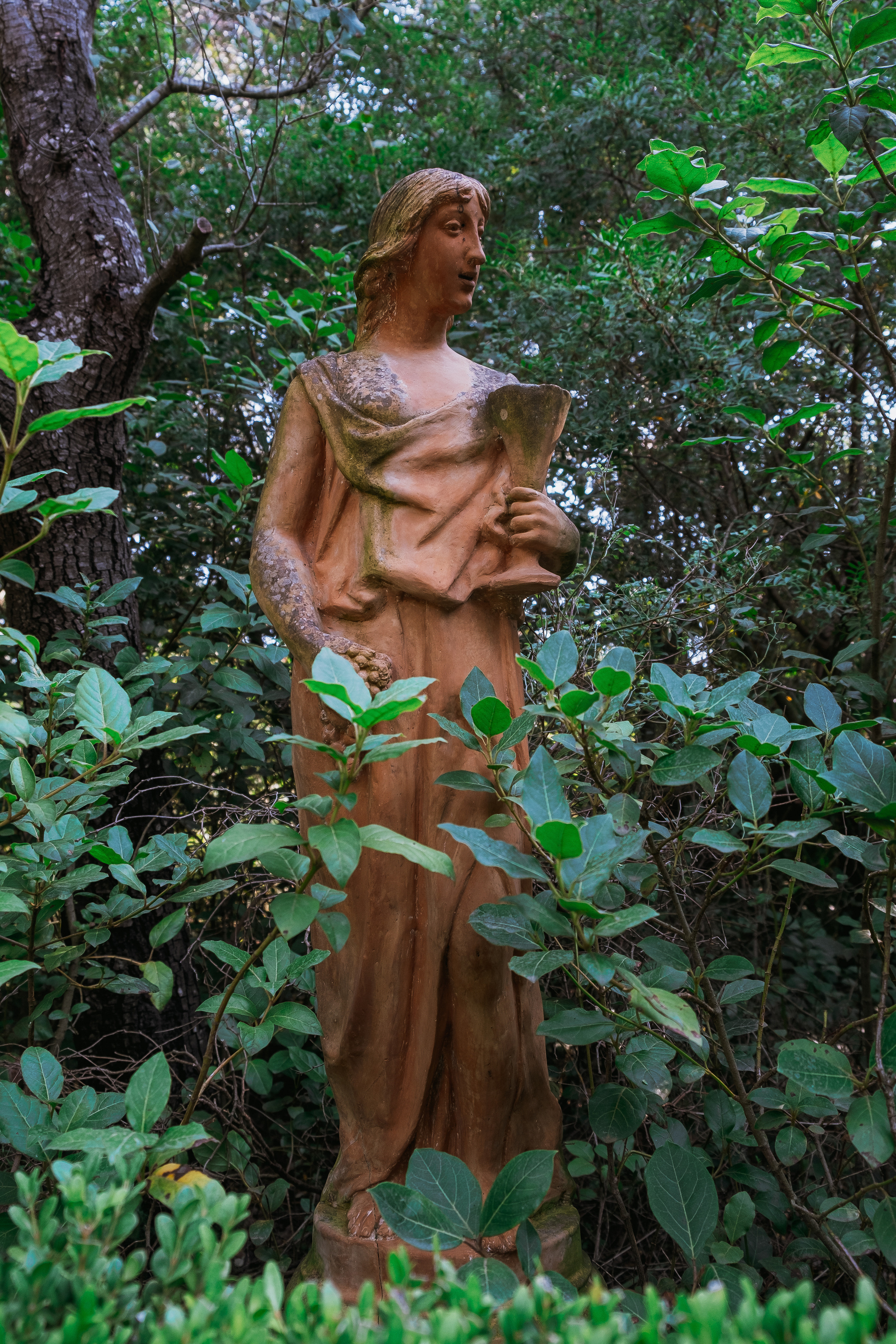 Jardí de l'Albarda (Сад l'Albarda)