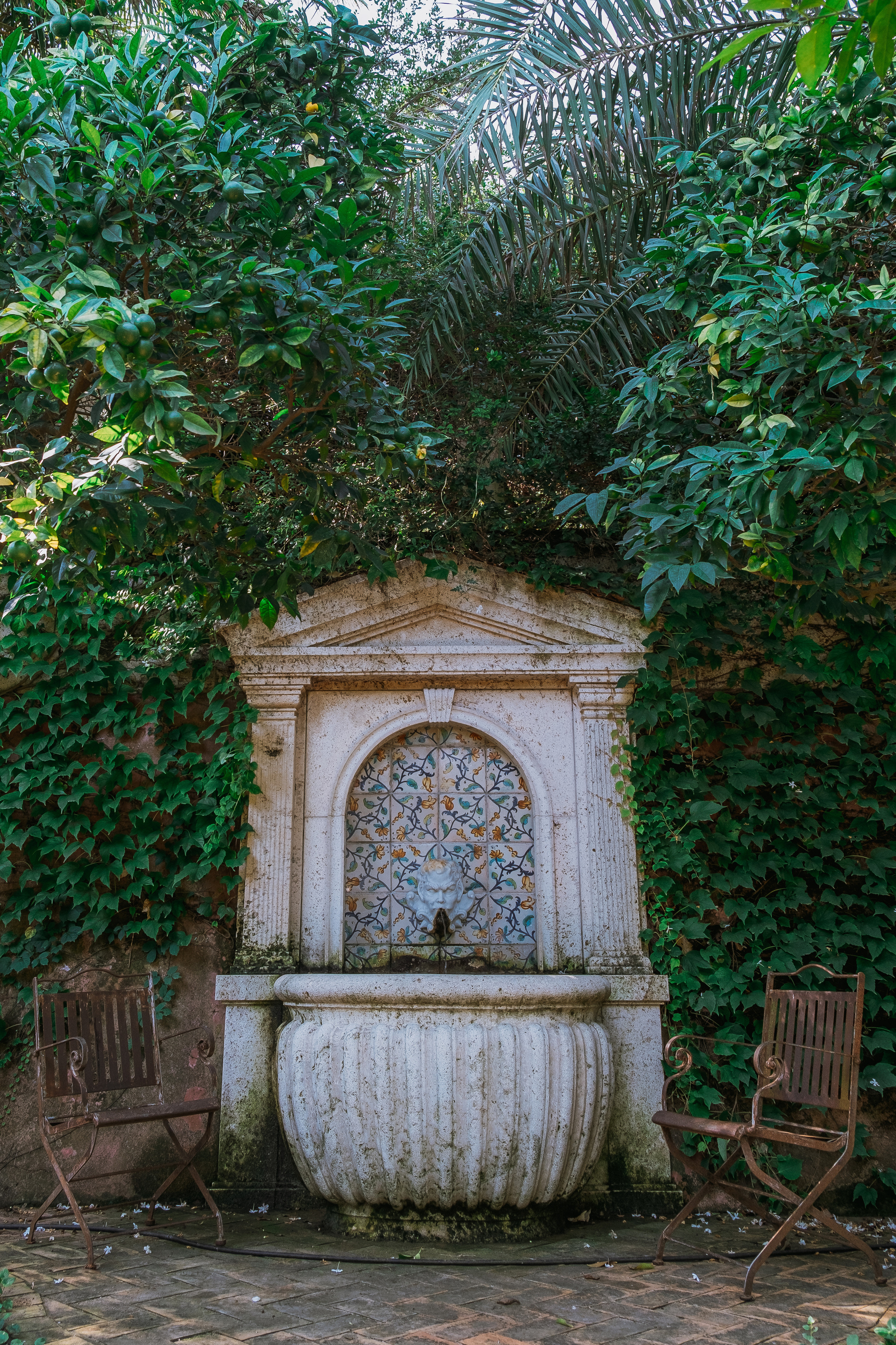 Jardí de l'Albarda (Сад l'Albarda)