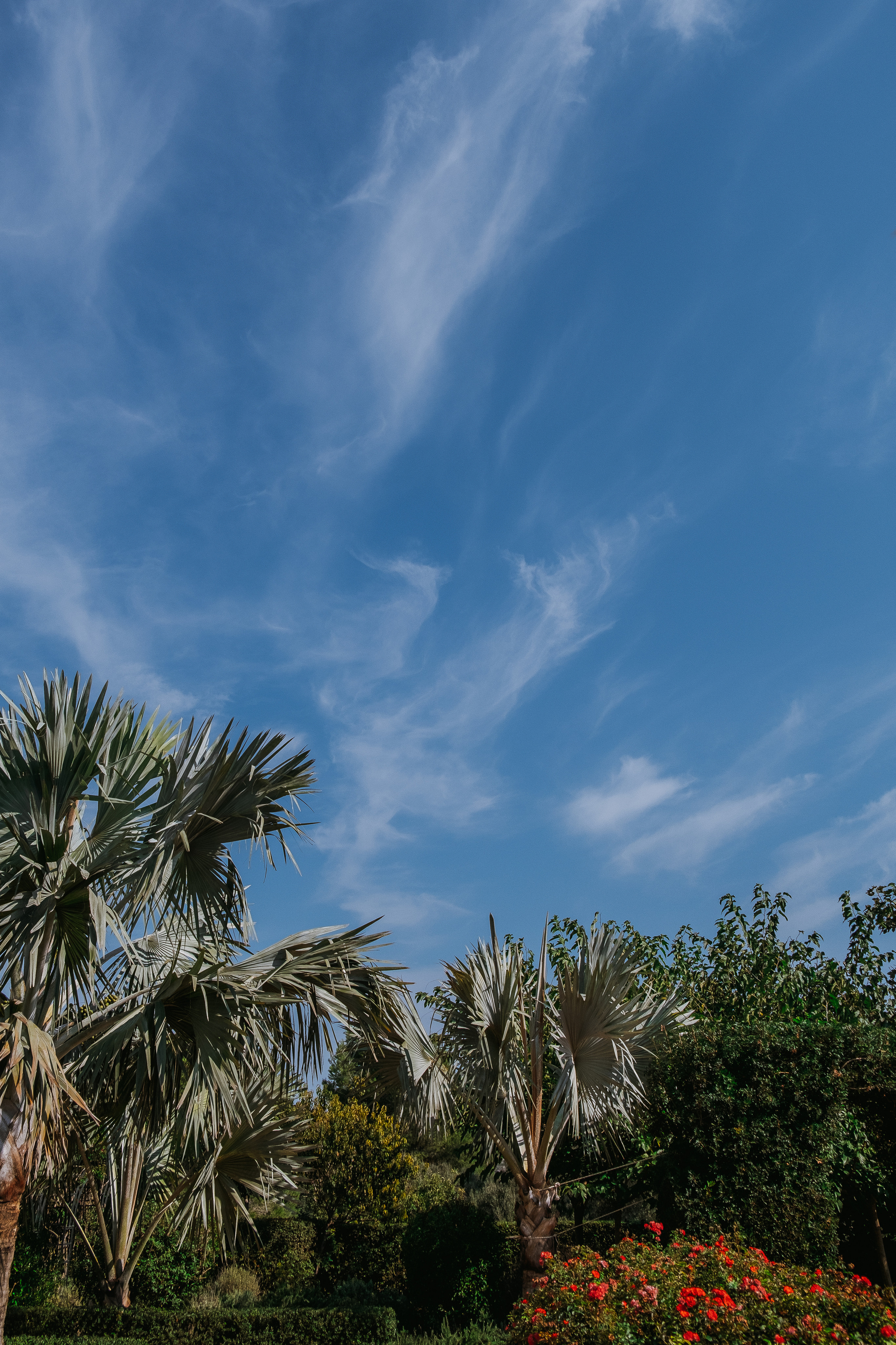 Jardí de l'Albarda (Сад l'Albarda)